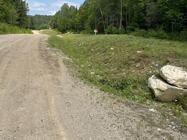 Land/Lot