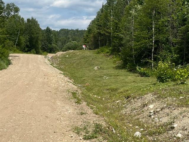 Land/Lot