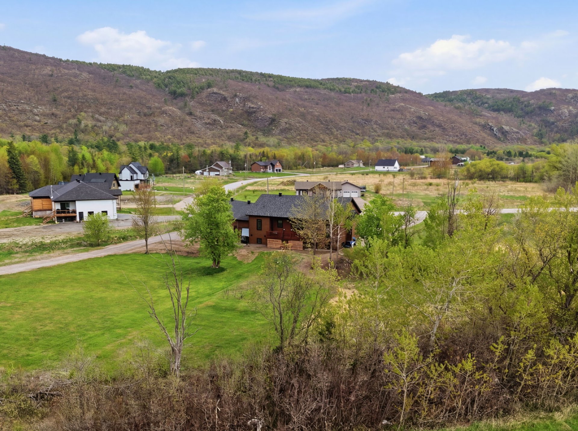 Overall View