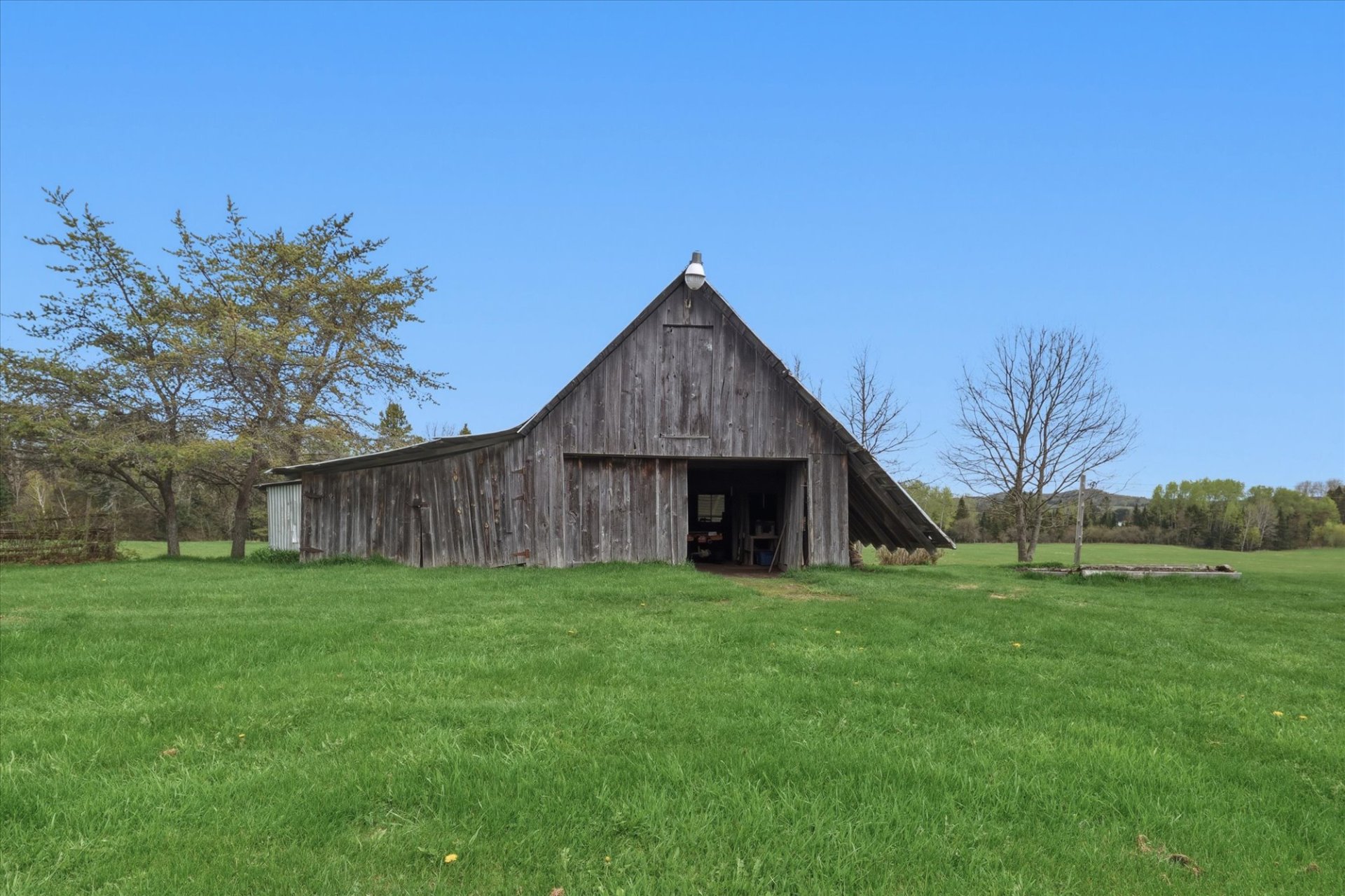 Shed