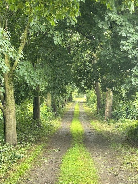 Entrée extérieure