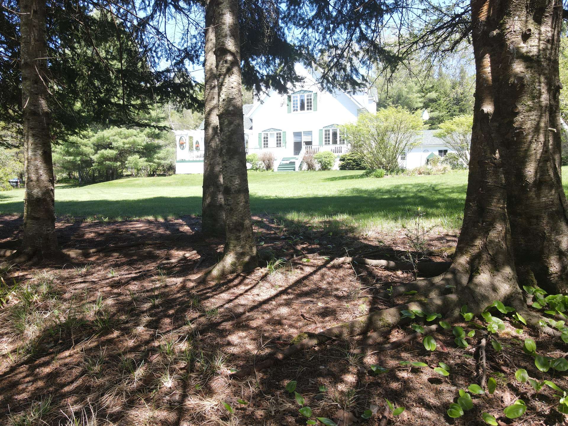 Overall View