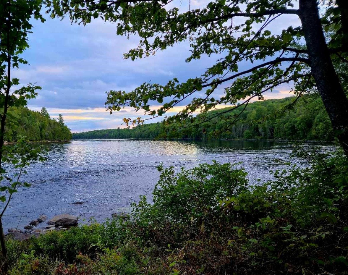 Water view