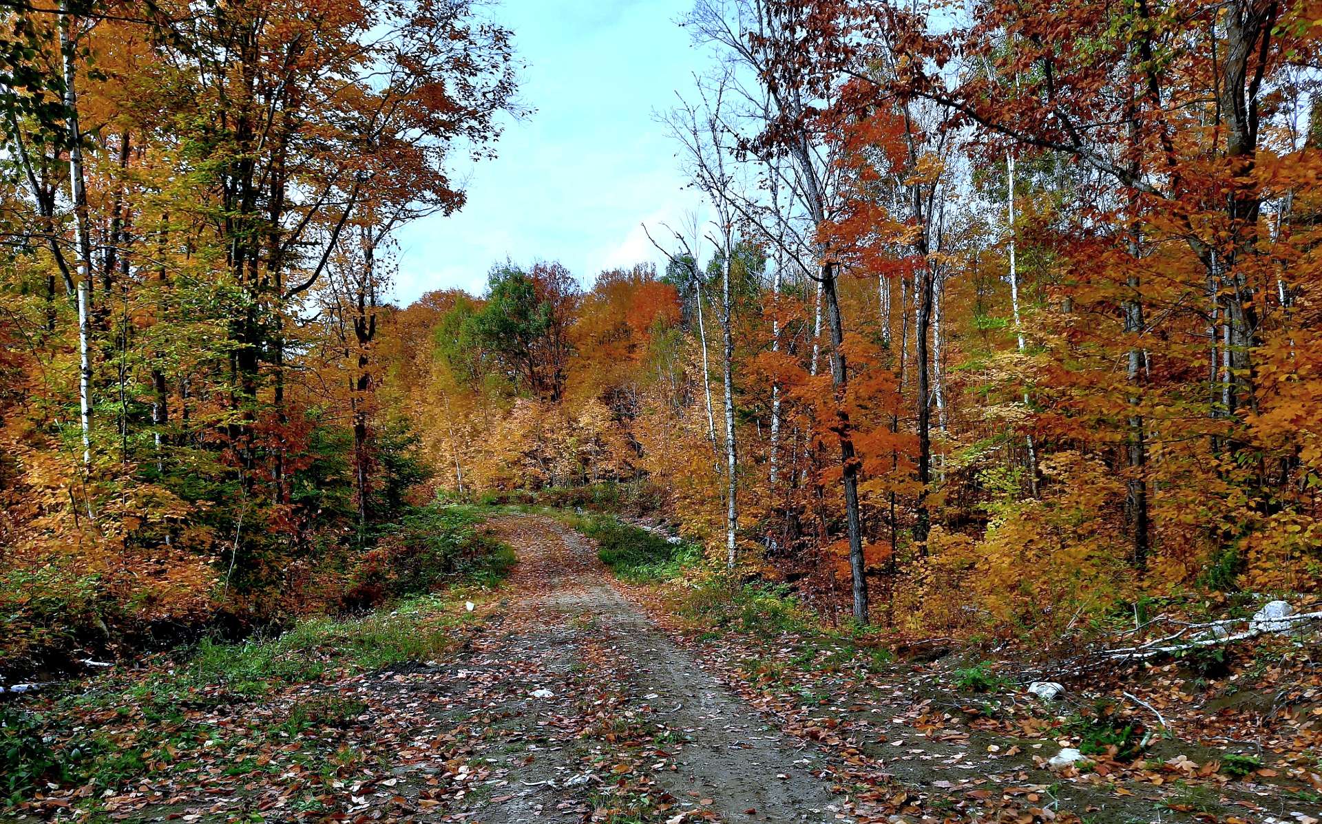 Land/Lot
