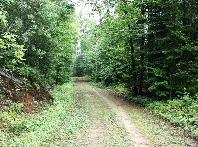 Land/Lot