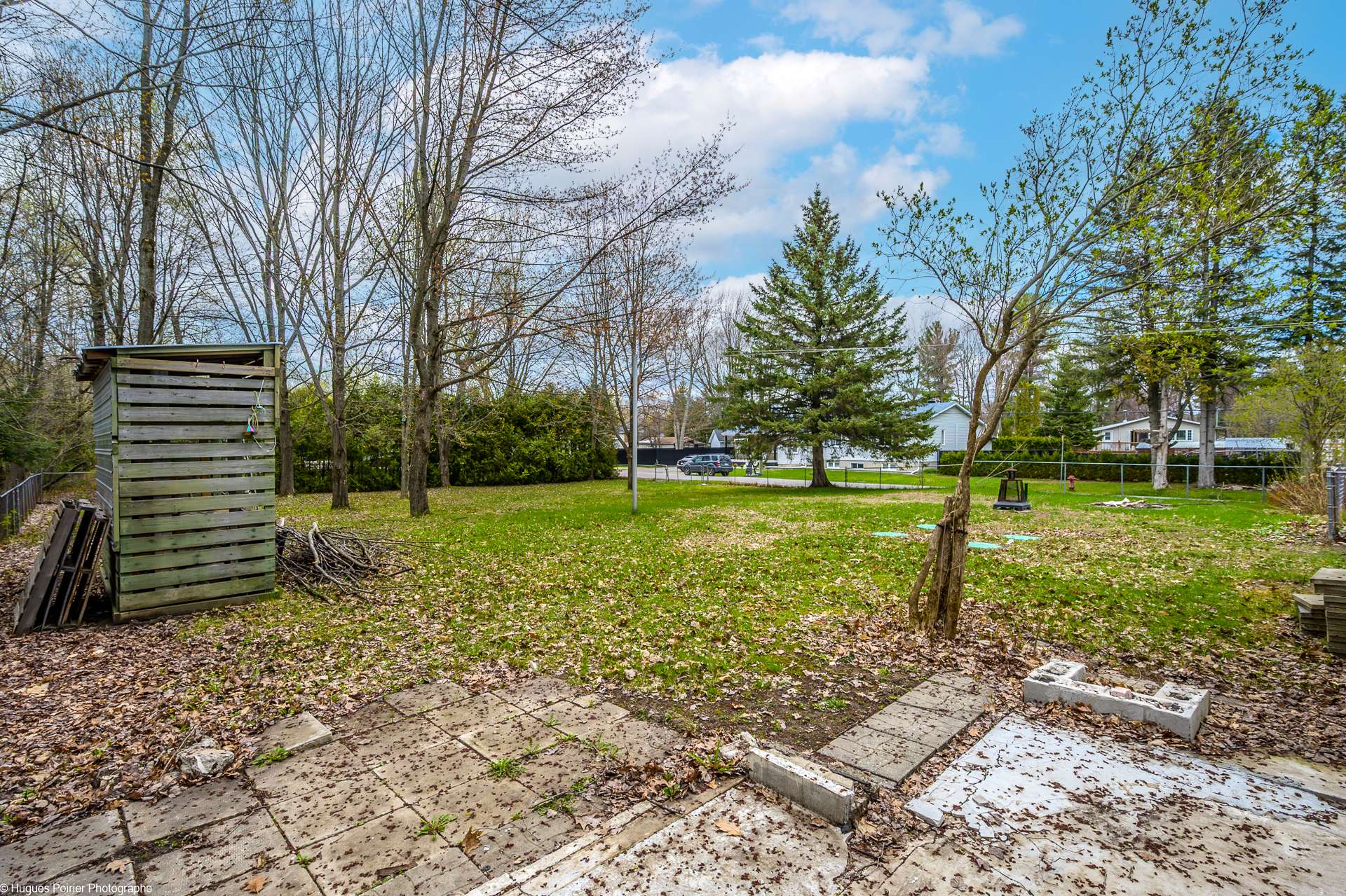 Backyard