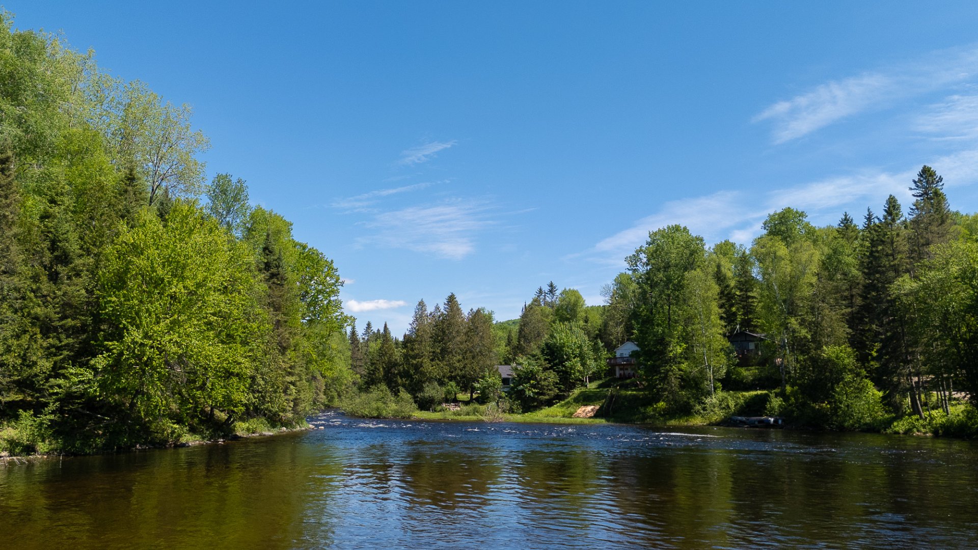 Water view