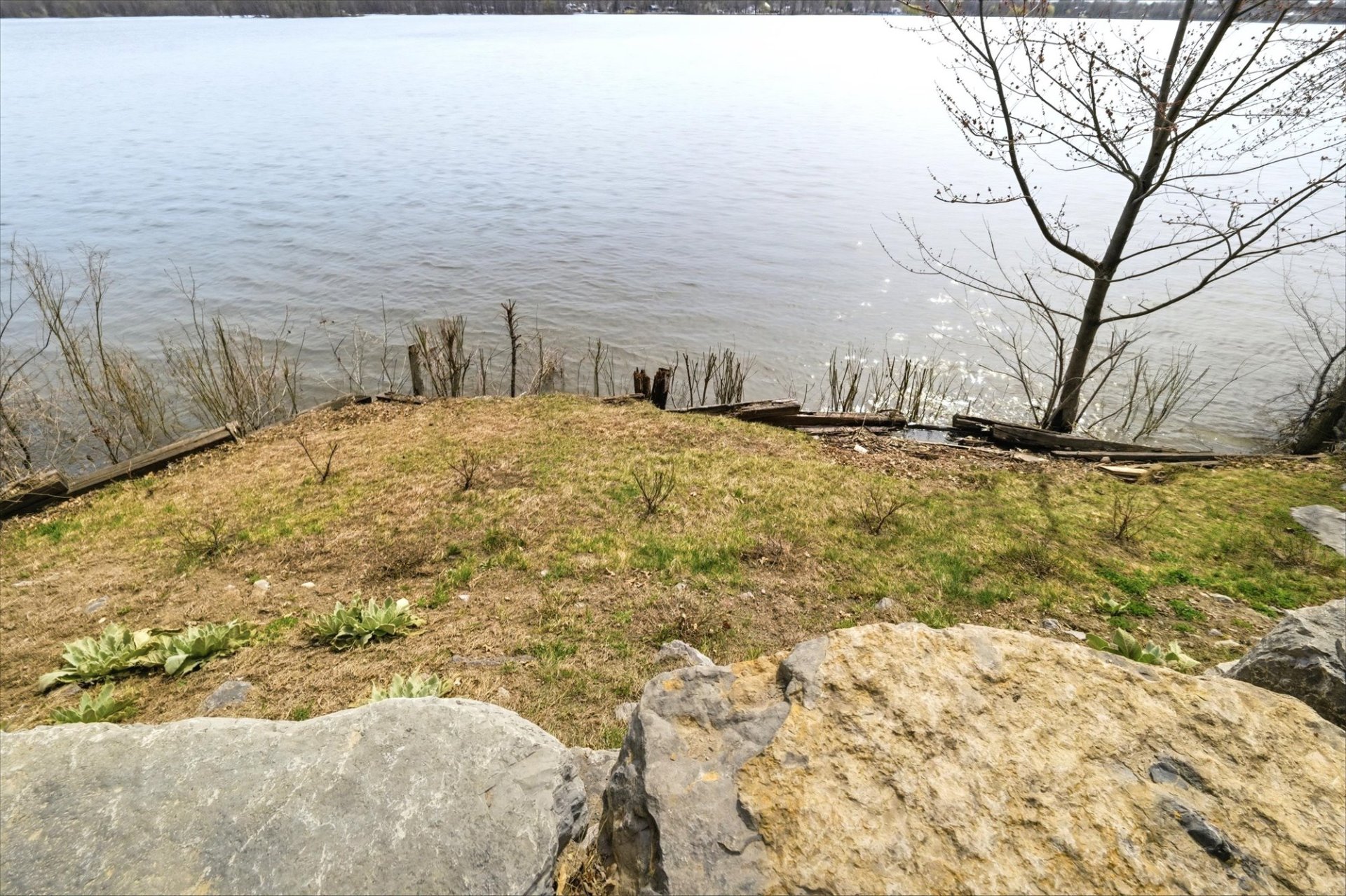 Water view