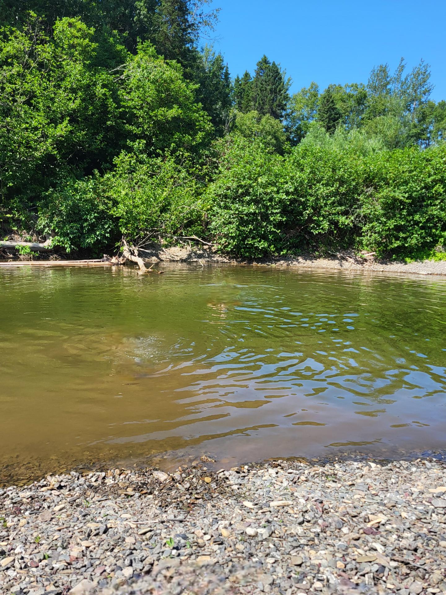 Accès au plan d'eau