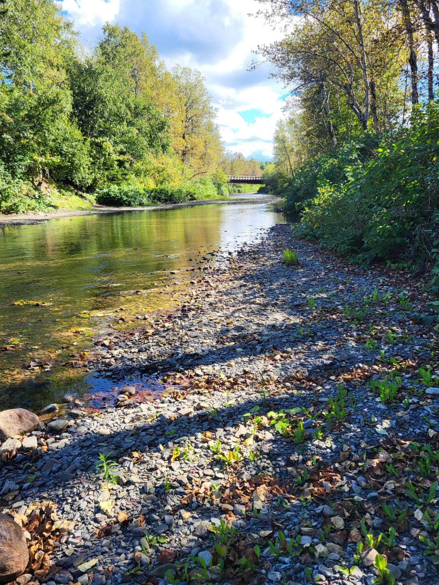 Accès au plan d'eau