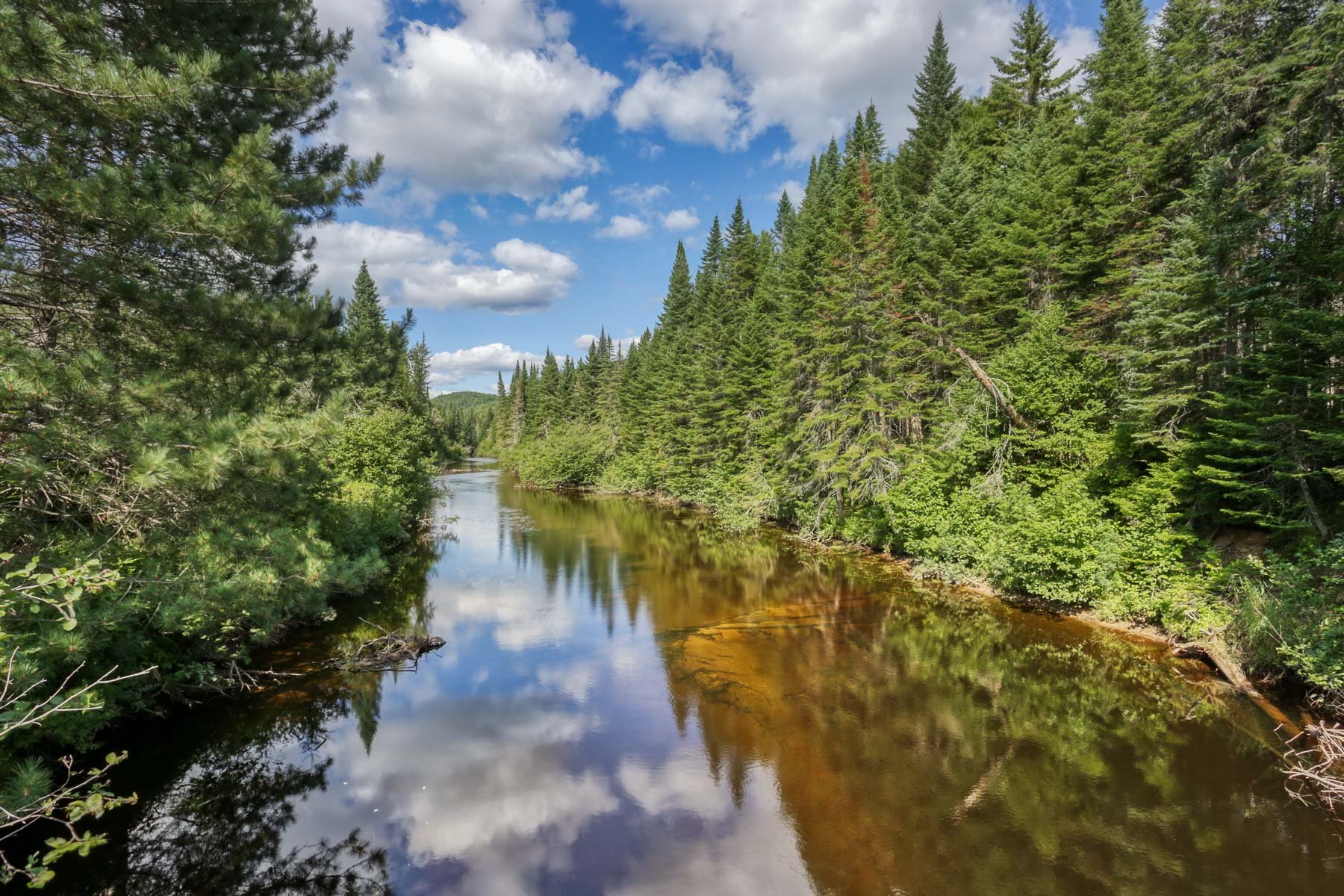 Accès au plan d'eau