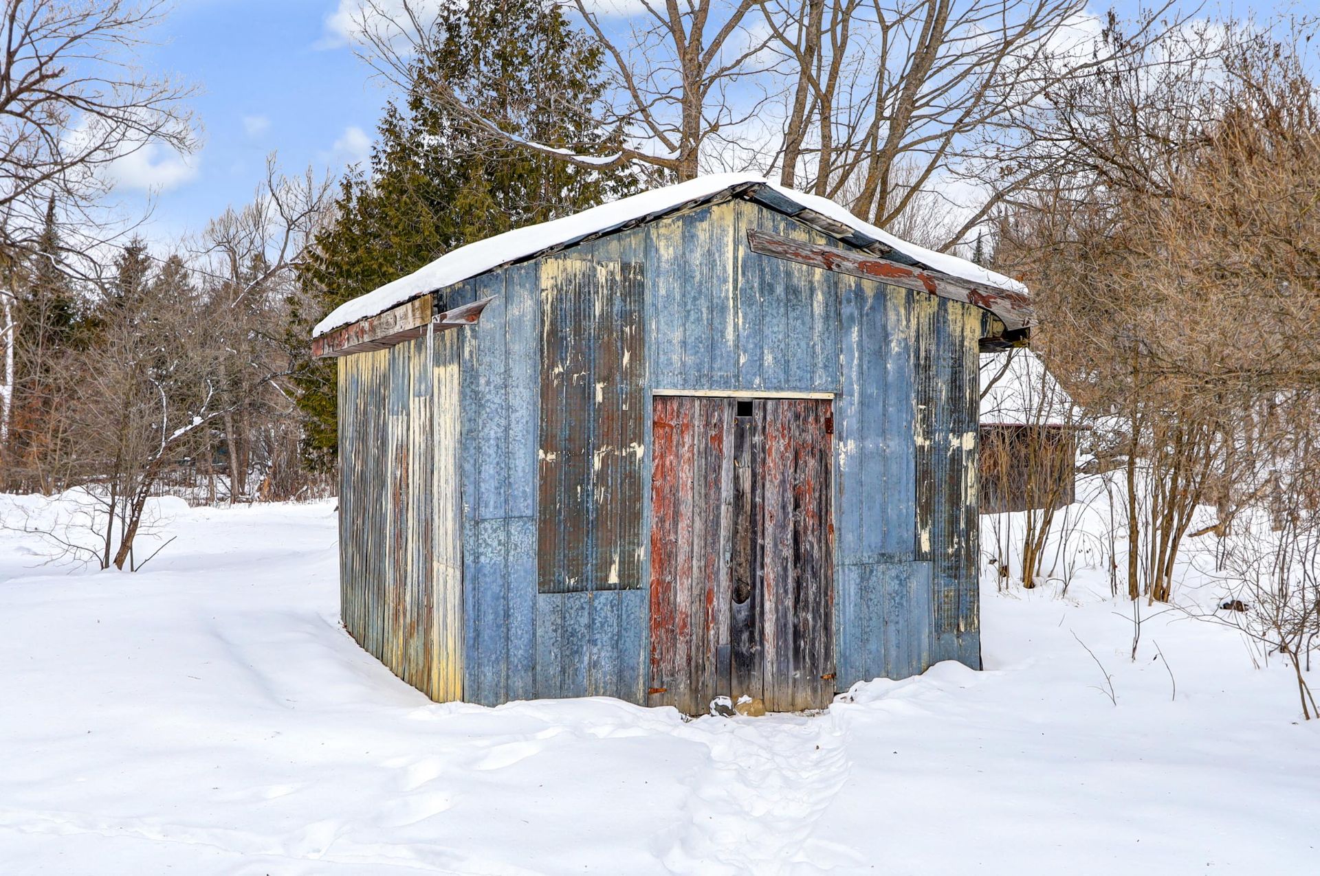 Shed