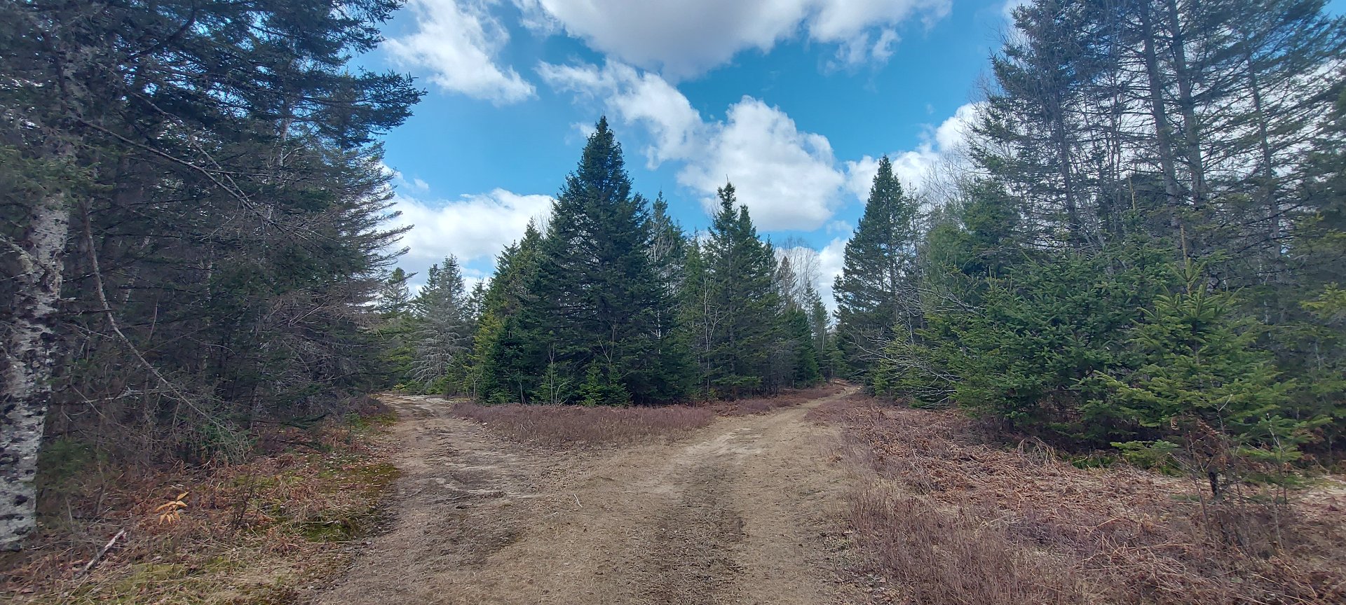 Terre/Terrain
