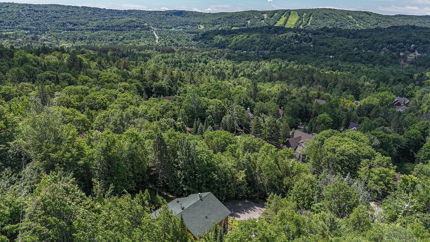 Vue