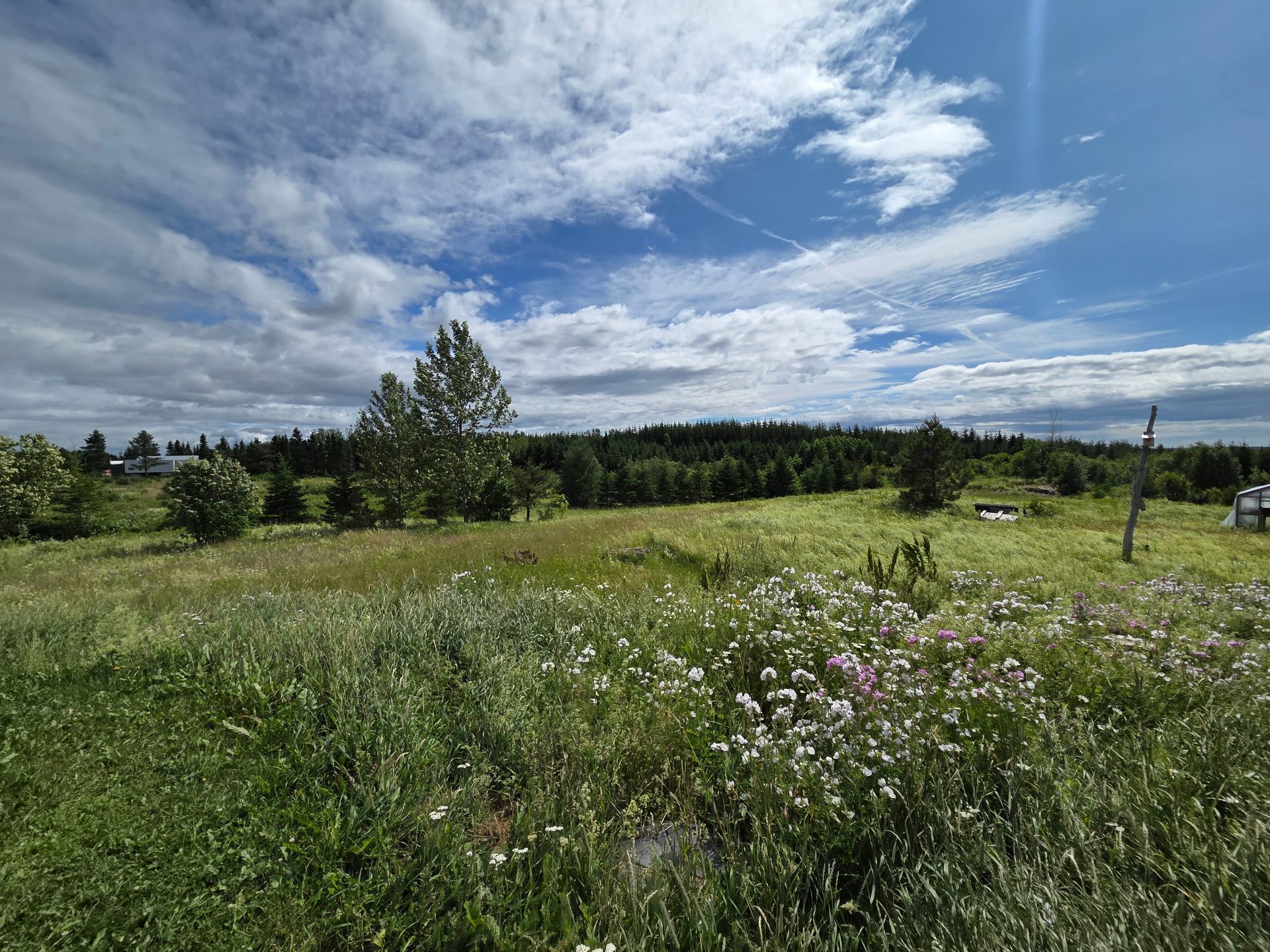 Terre/Terrain