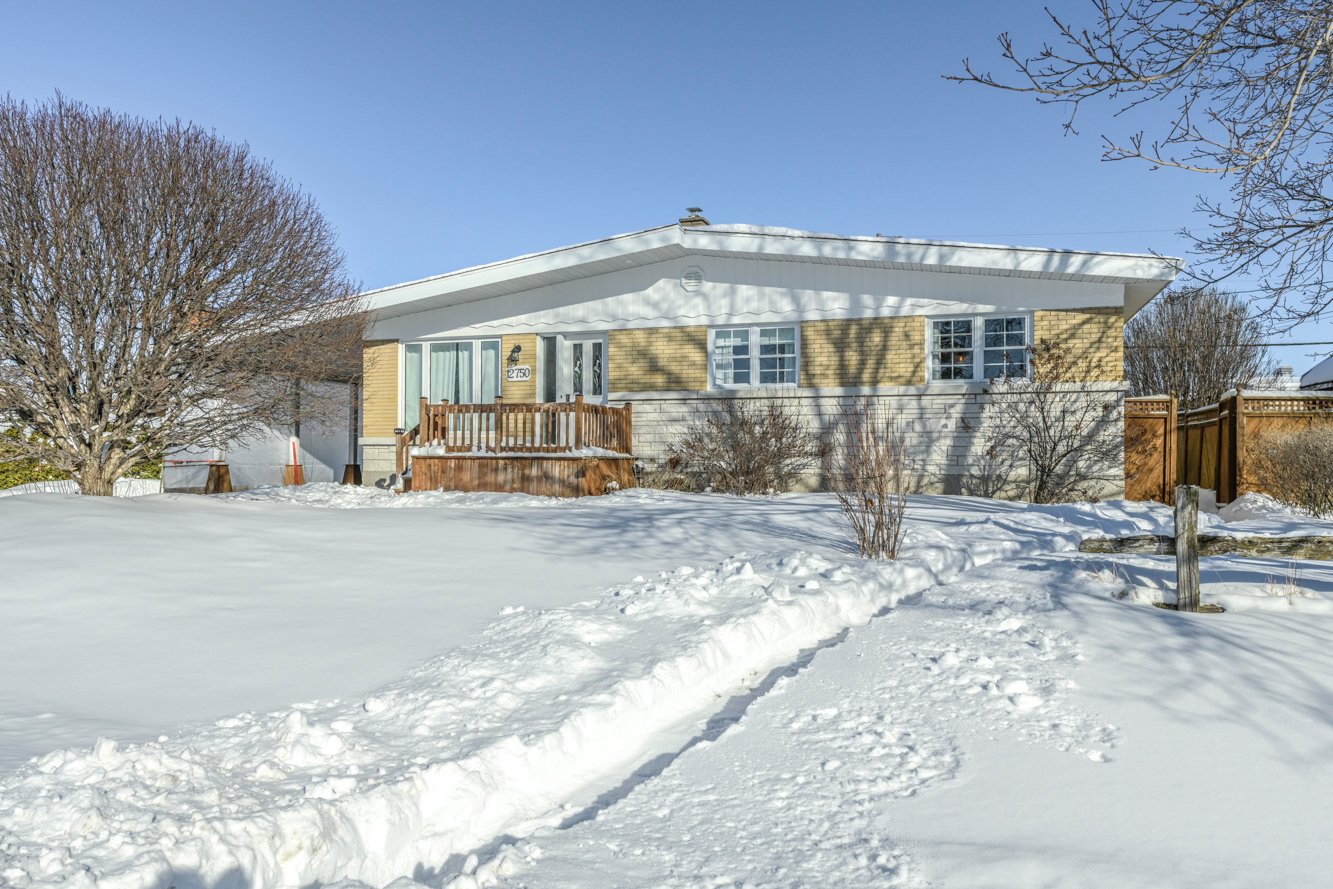 Rue bordée d'arbres matures