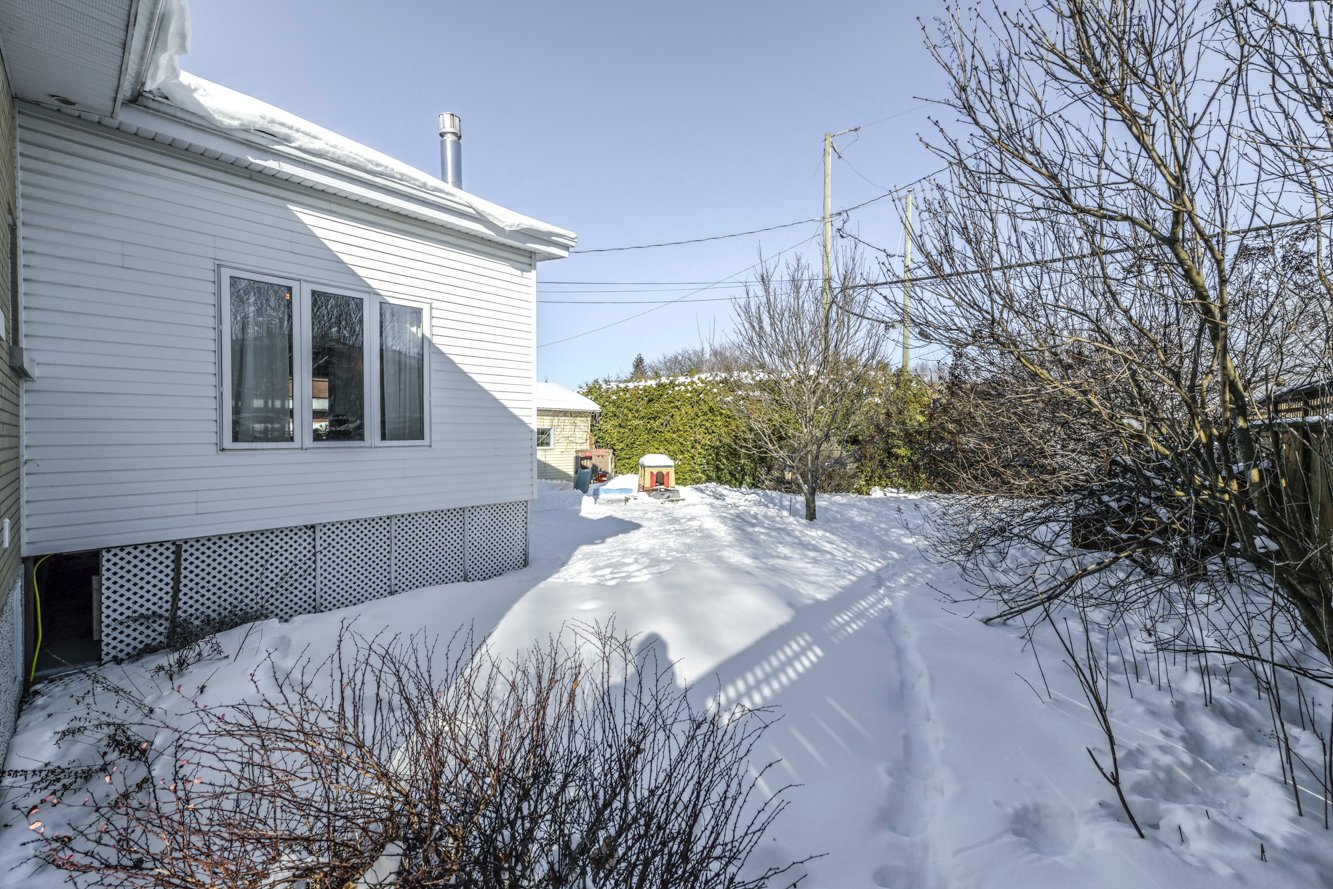 Cour entièrement intime en été