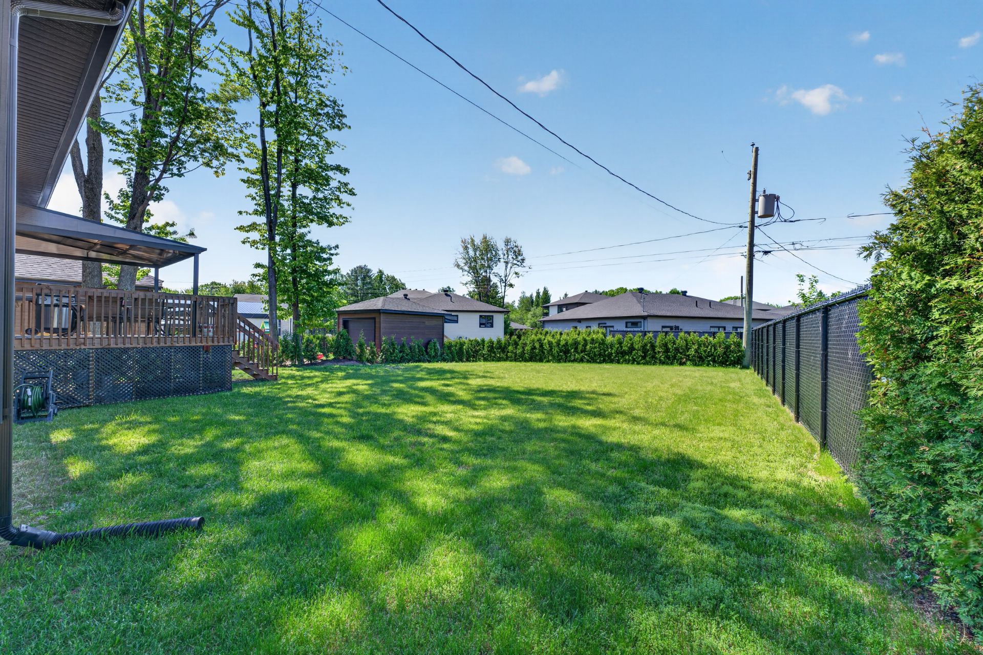 Backyard