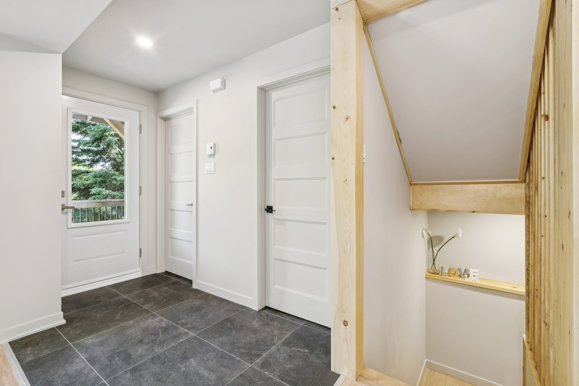 Hall d'entrée/Vestibule