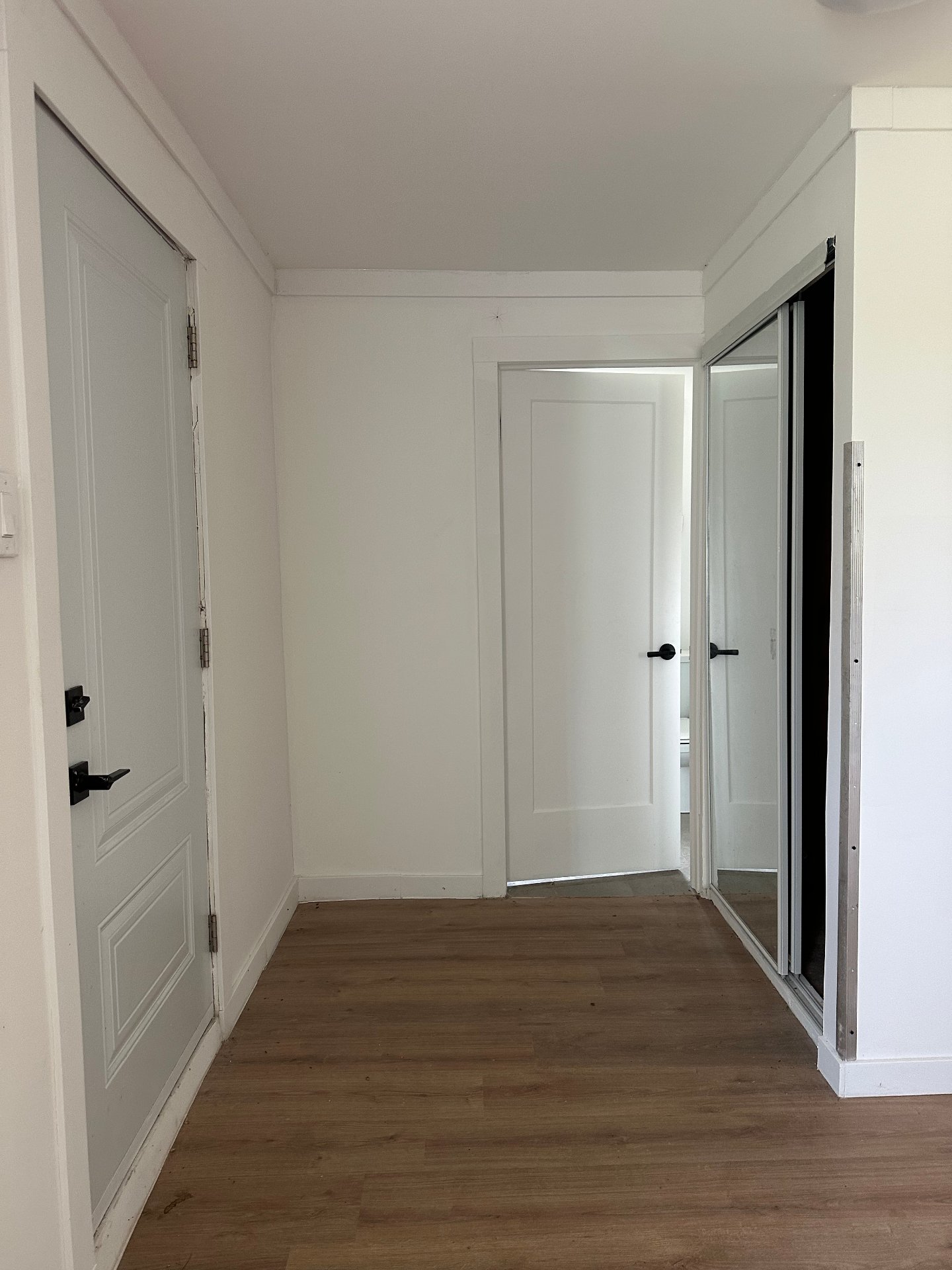 Hall d'entrée/Vestibule