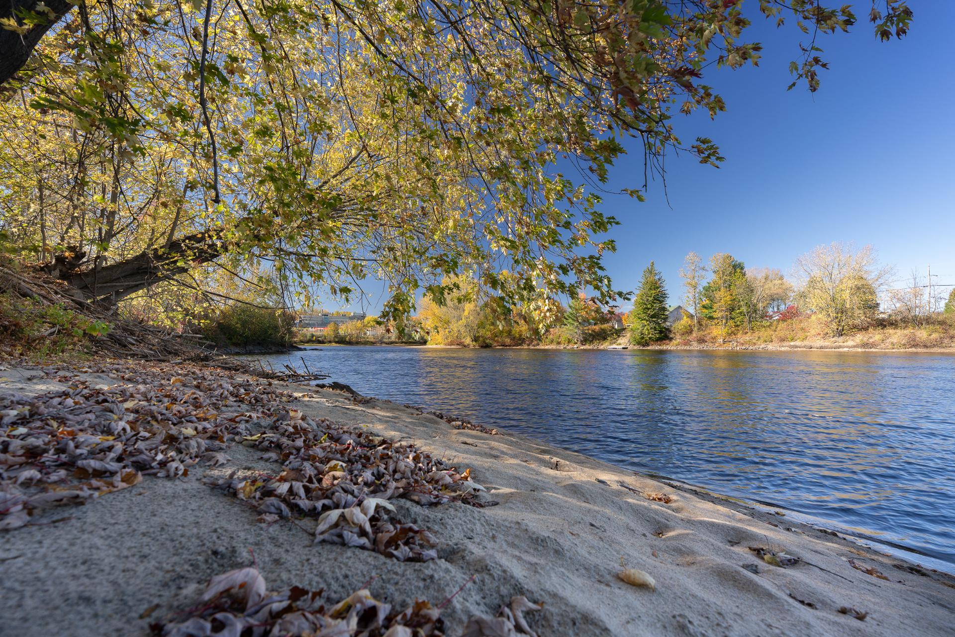 Rivière du lièvre