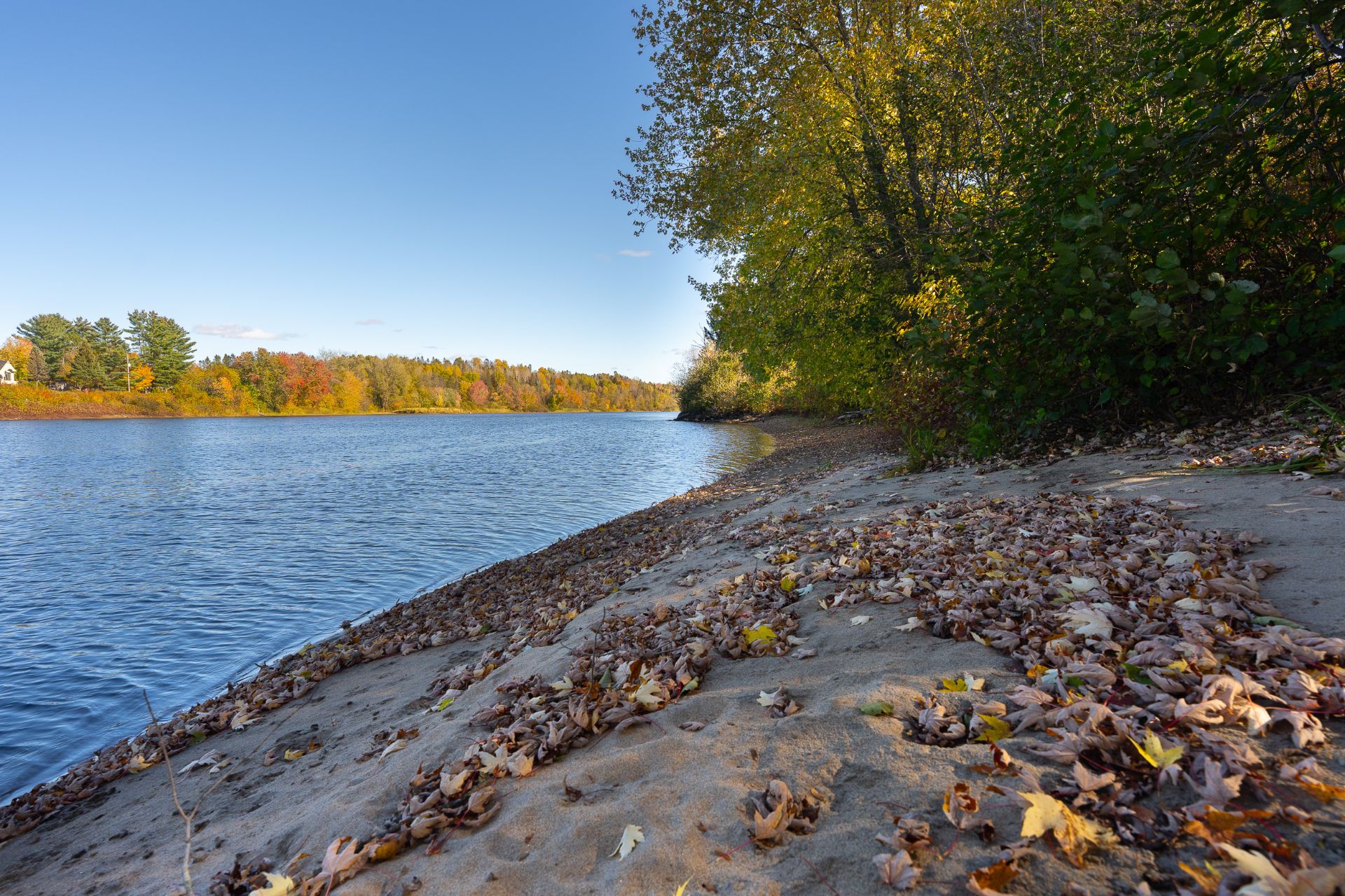 Rivière du lièvre