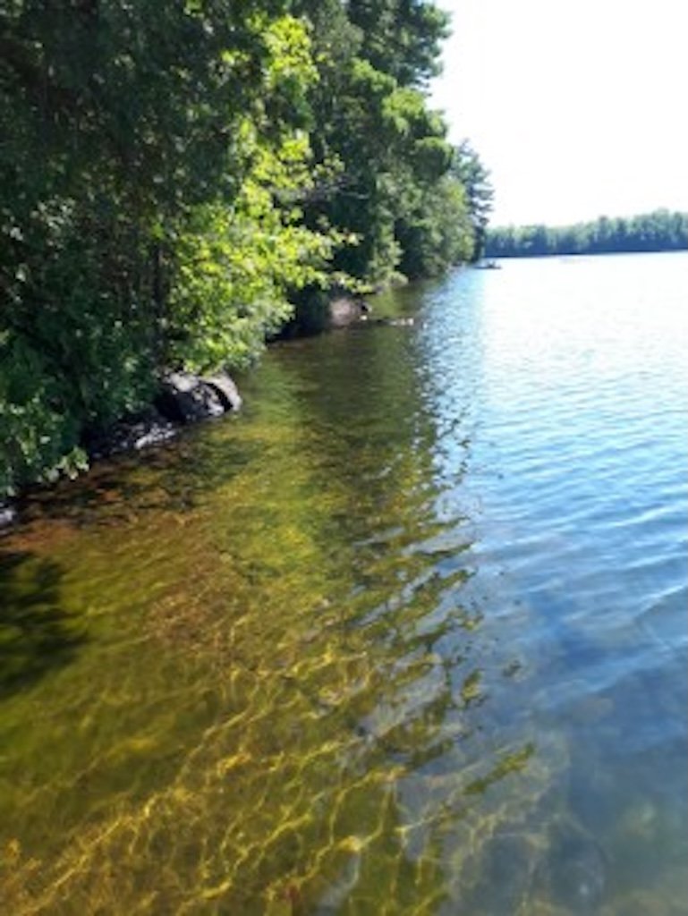 Waterfront