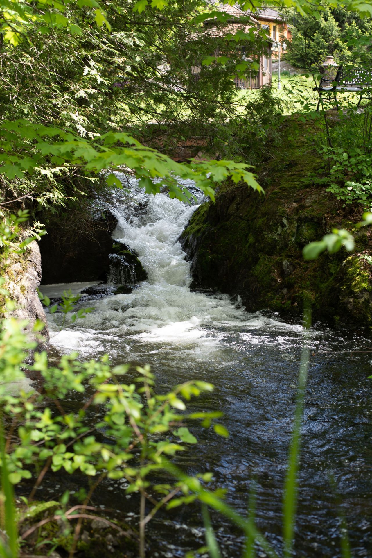 Vue sur l'eau