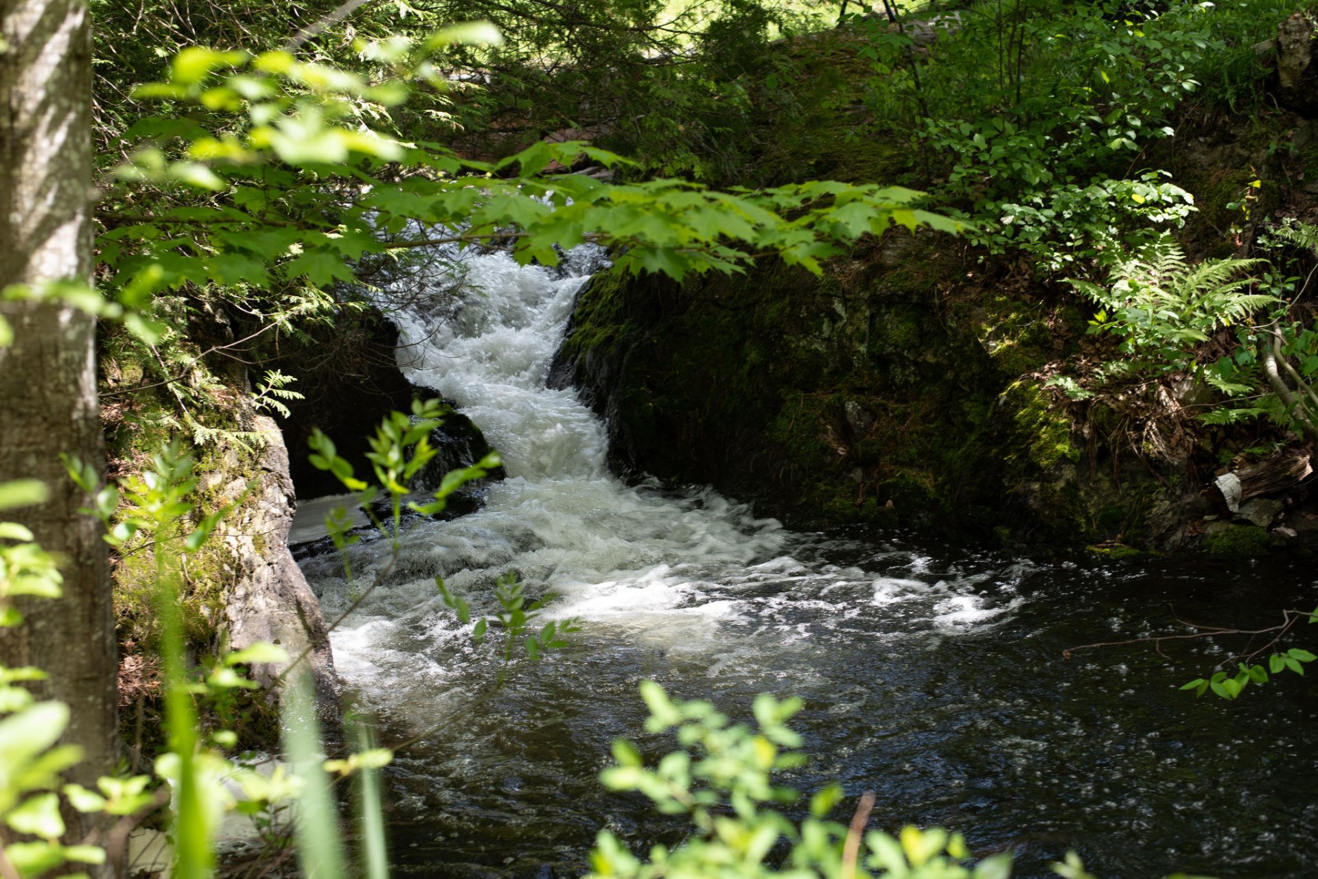 Vue sur l'eau