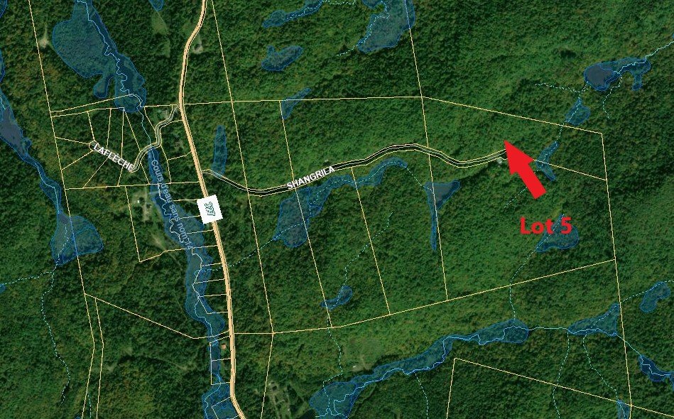 Lot 5