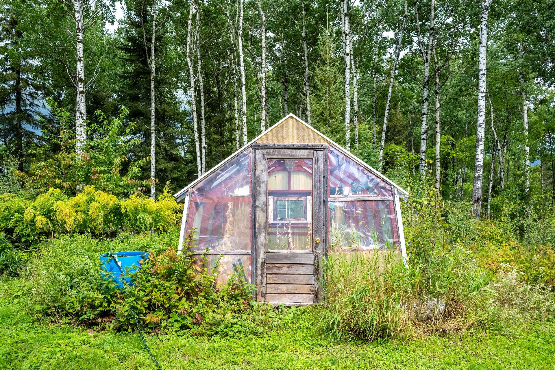 Greenhouse