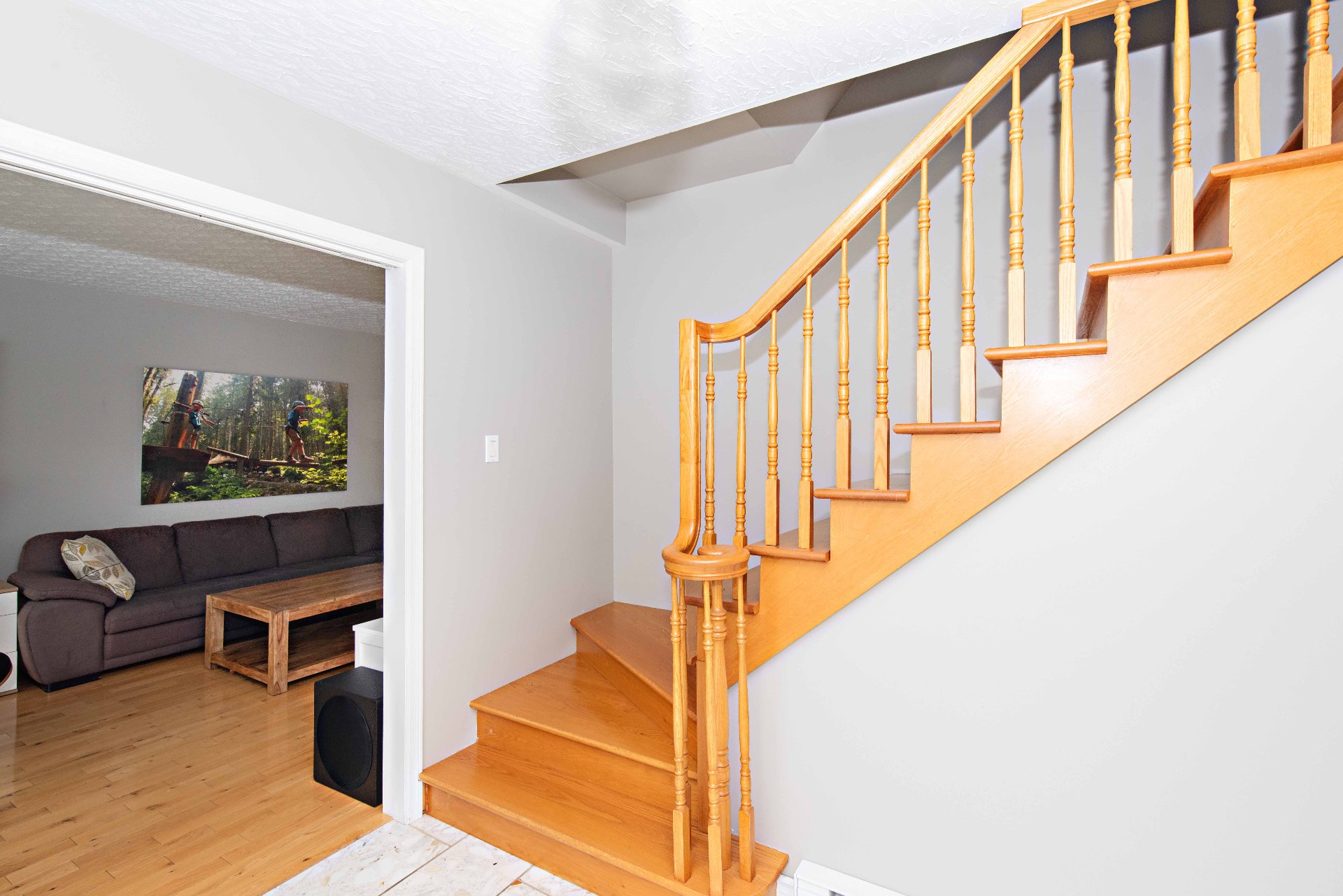 Hall d'entrée/Vestibule