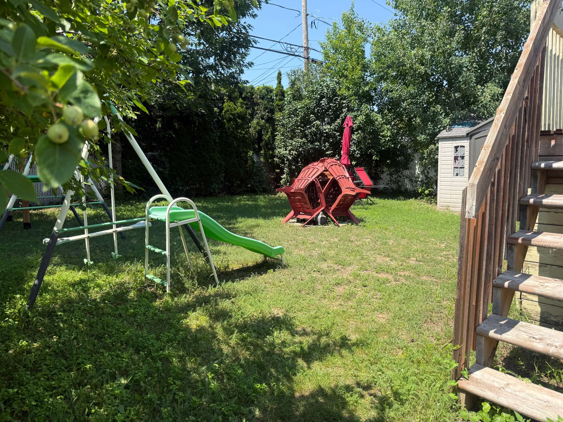 Backyard