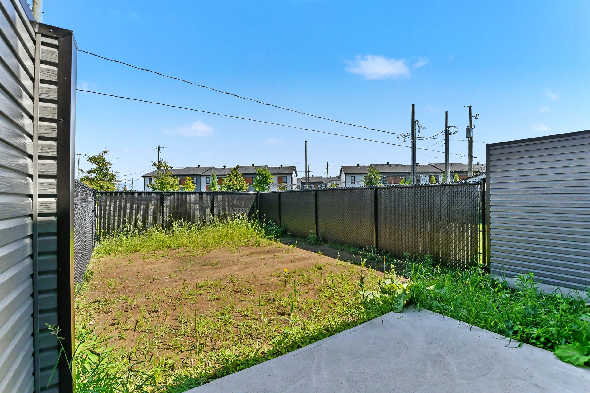 Backyard