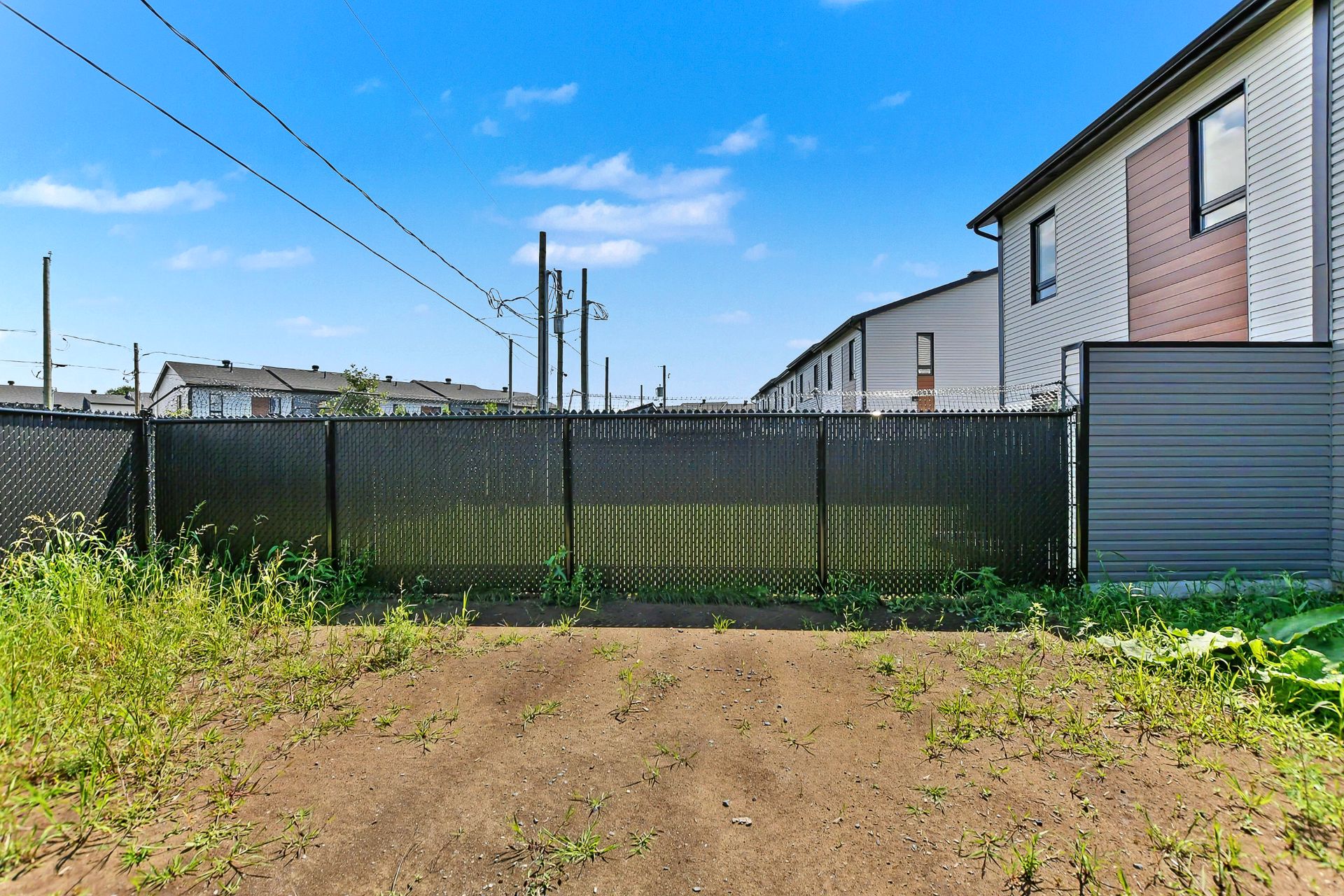 Backyard
