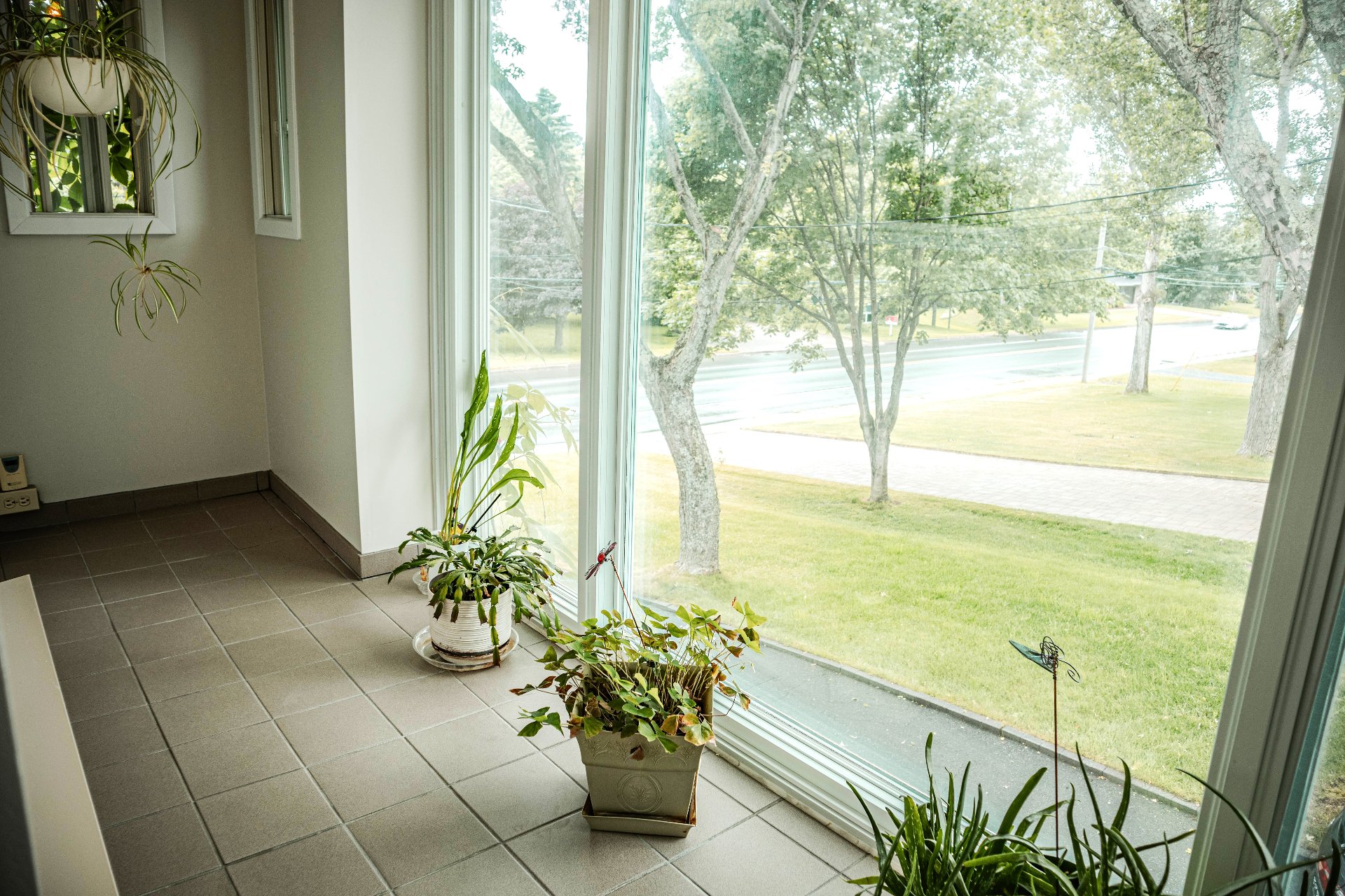 Solarium du deuxième étage