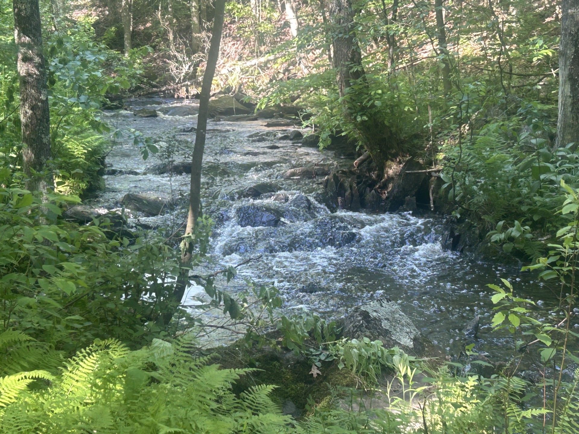 Bord de l'eau