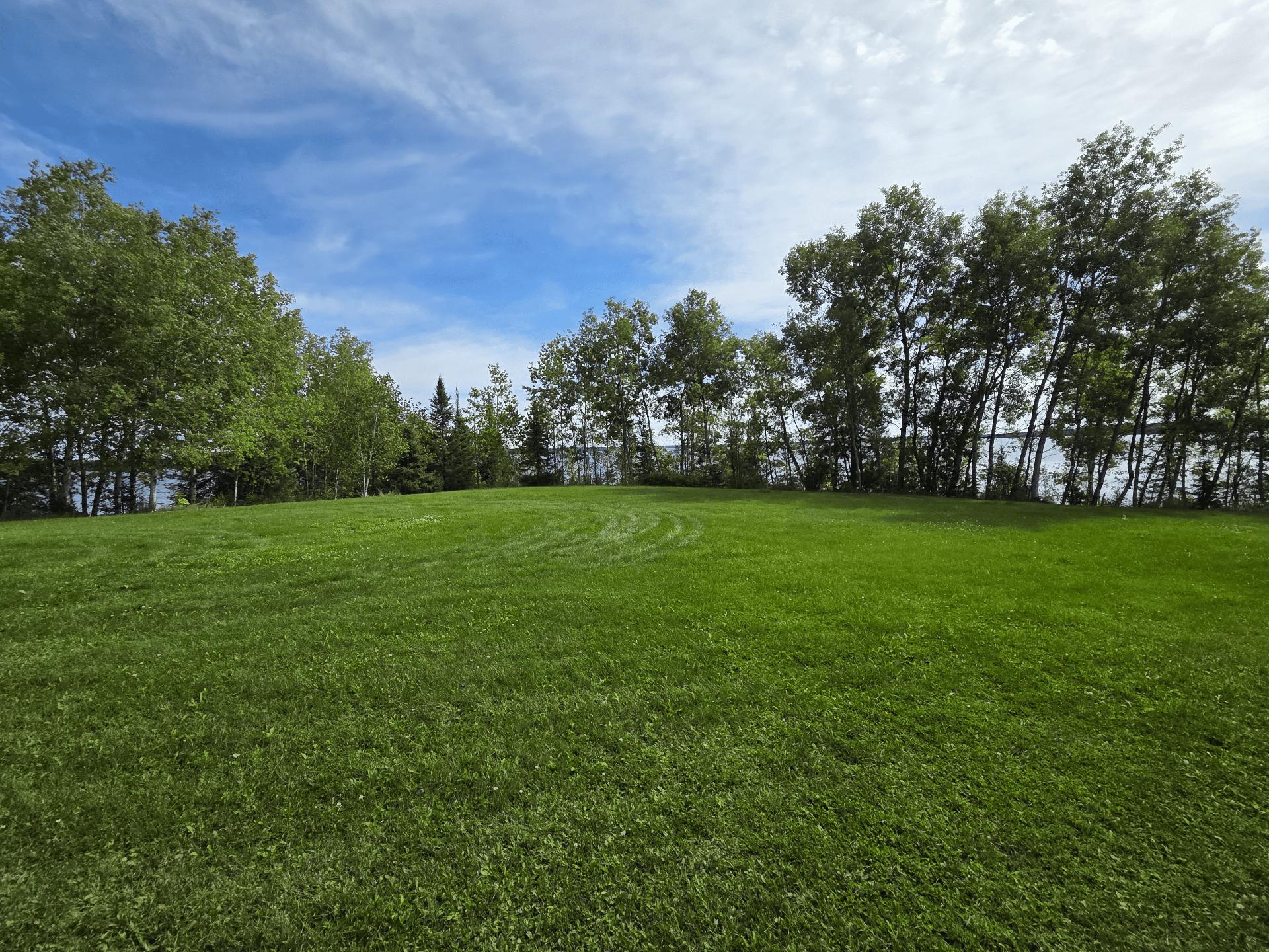 Overall View