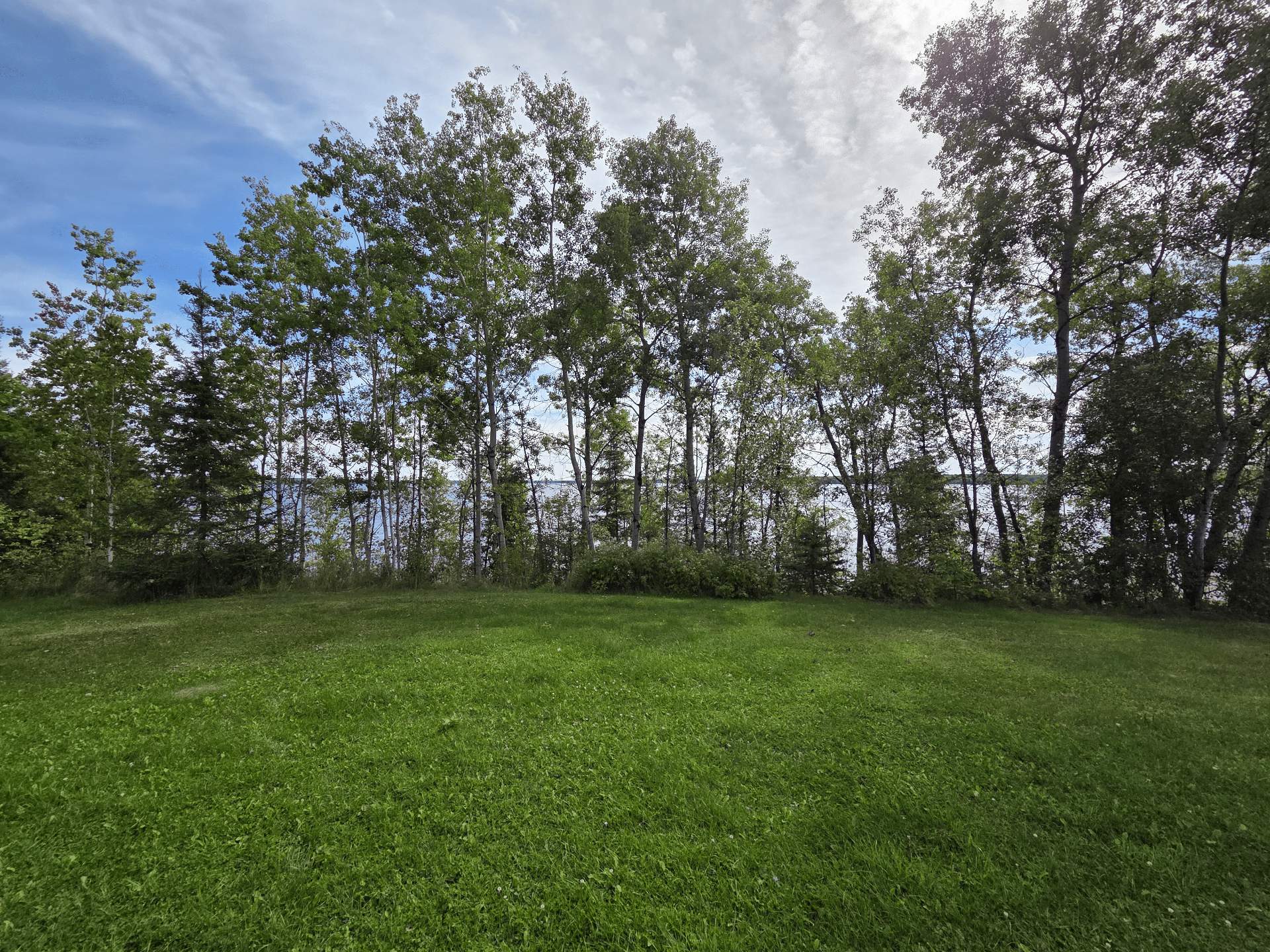 Overall View