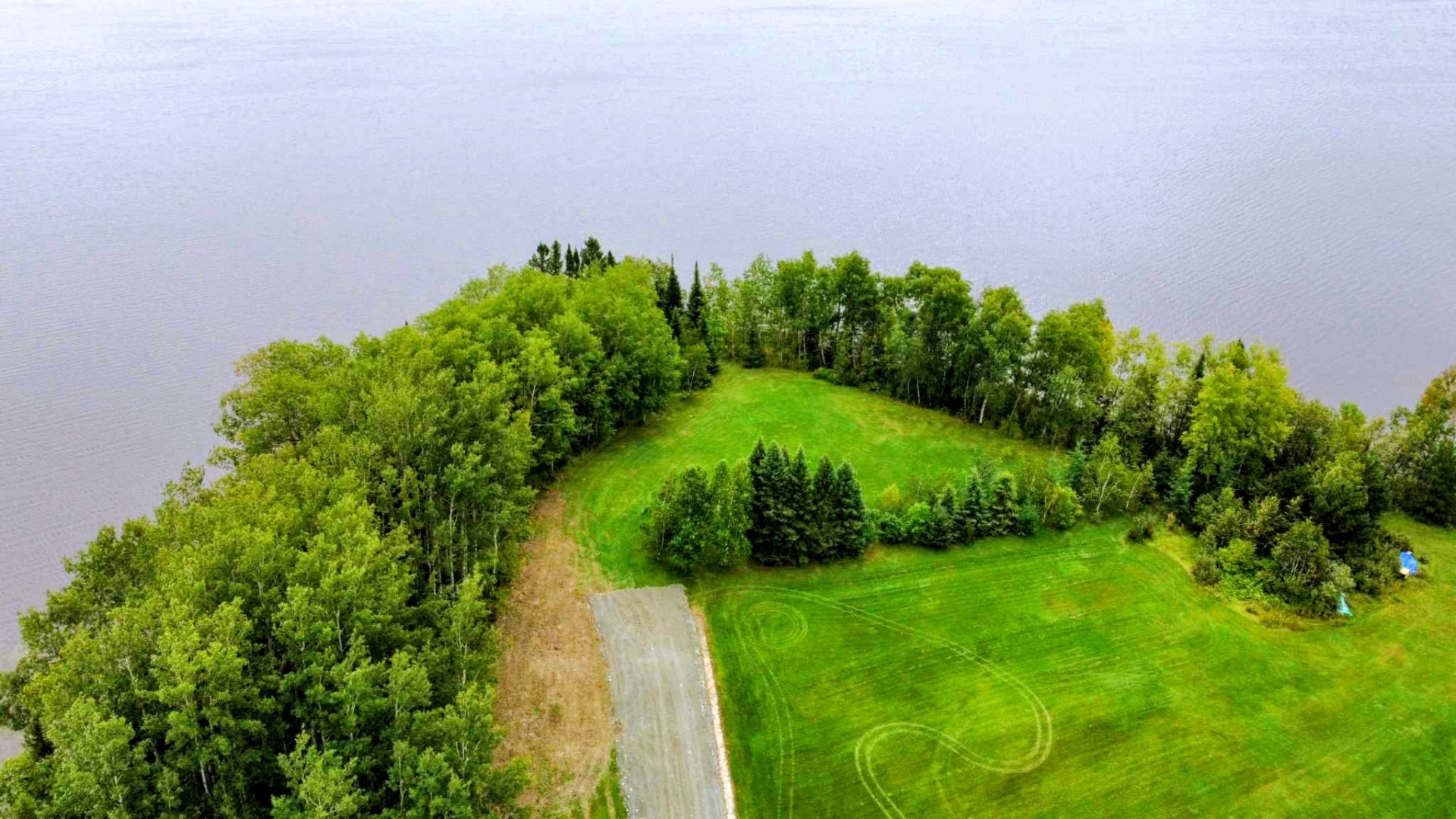Overall View