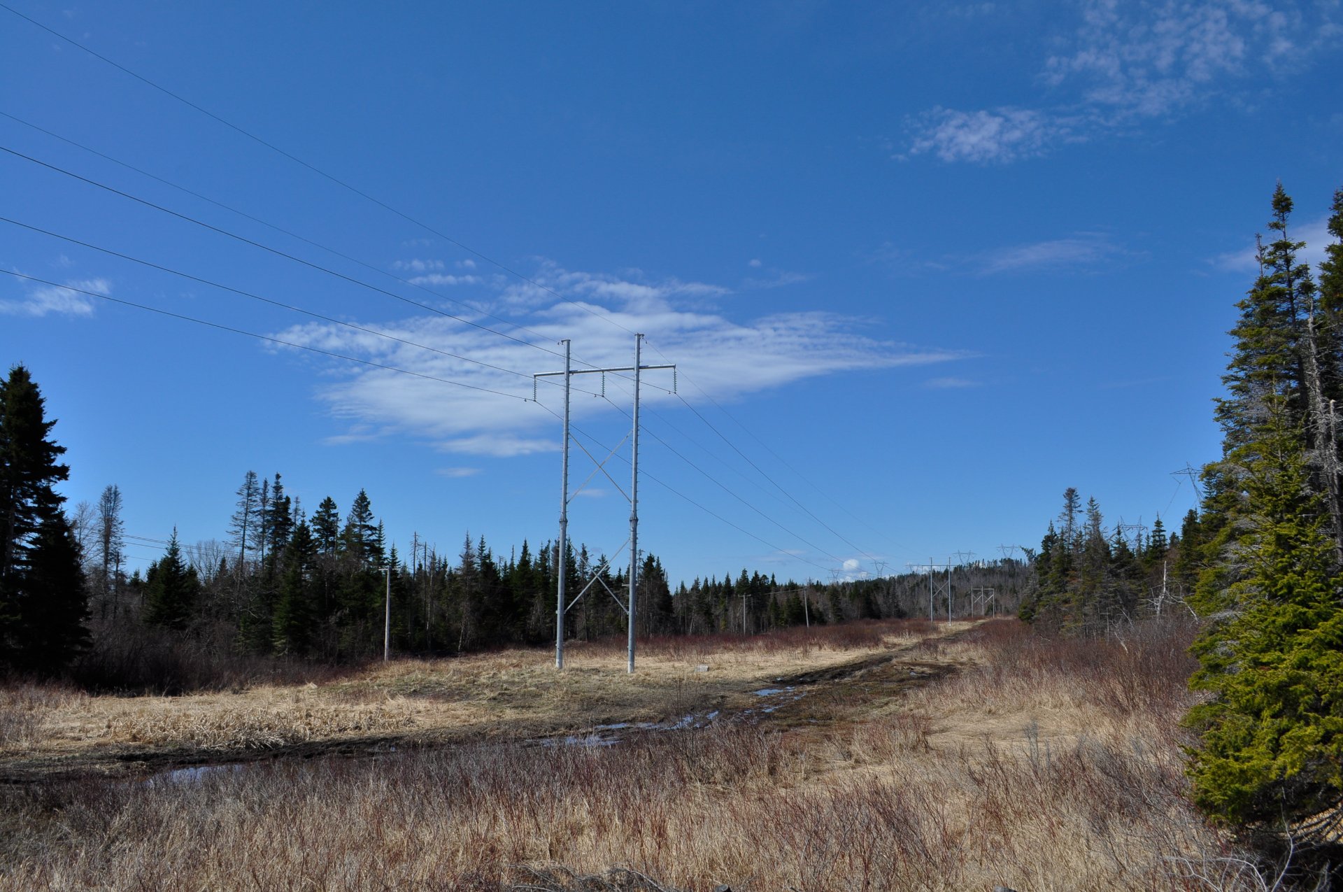 Nearby