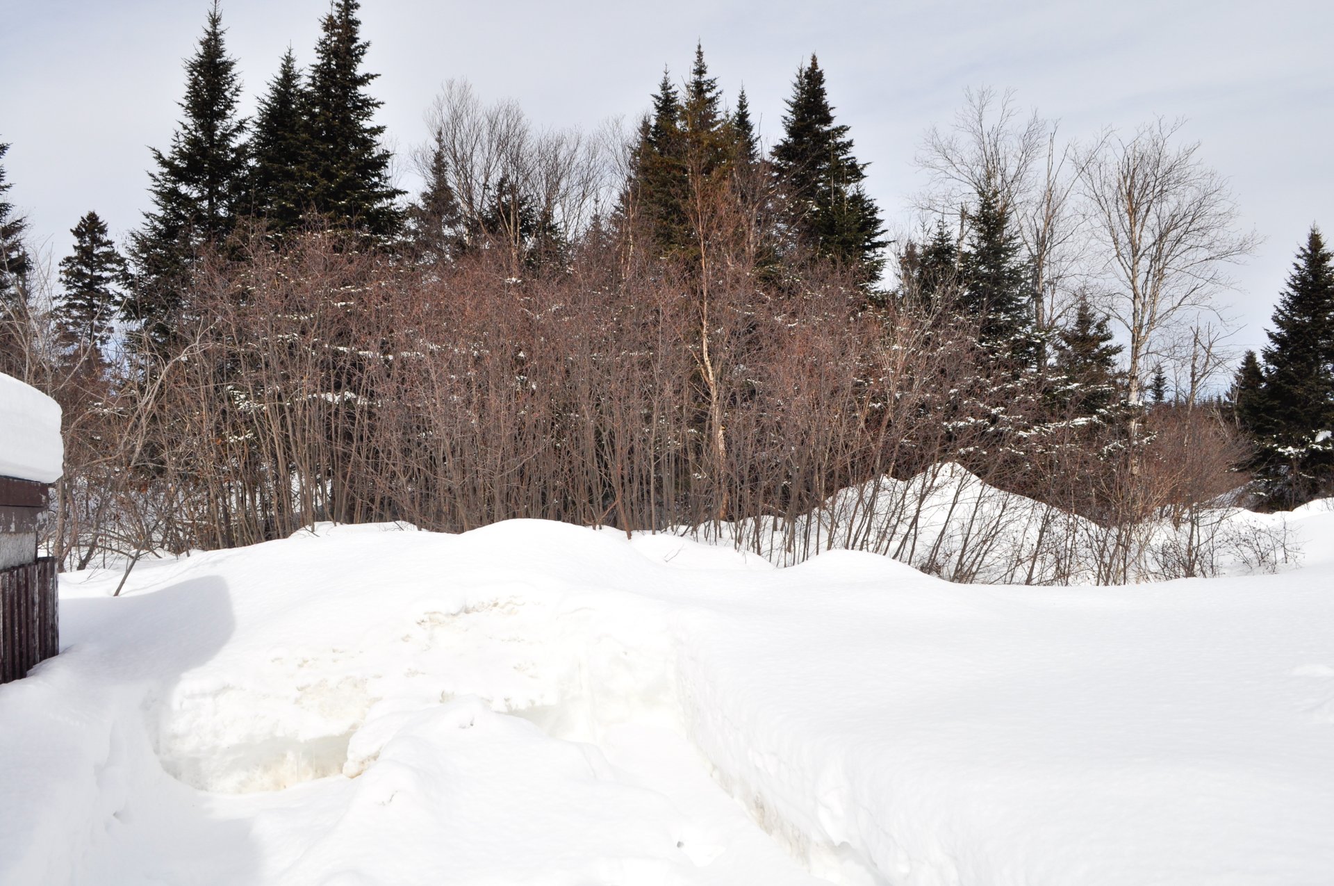 cour arrière accès direct aux sentiers
