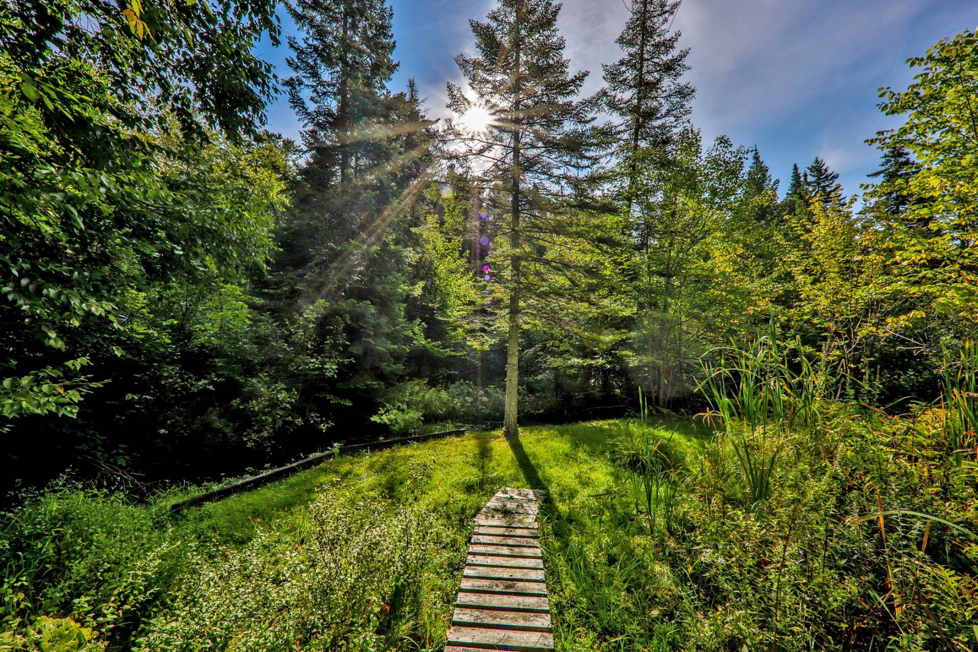 Access to a body of water