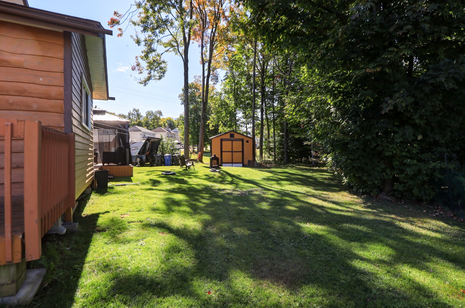 Backyard