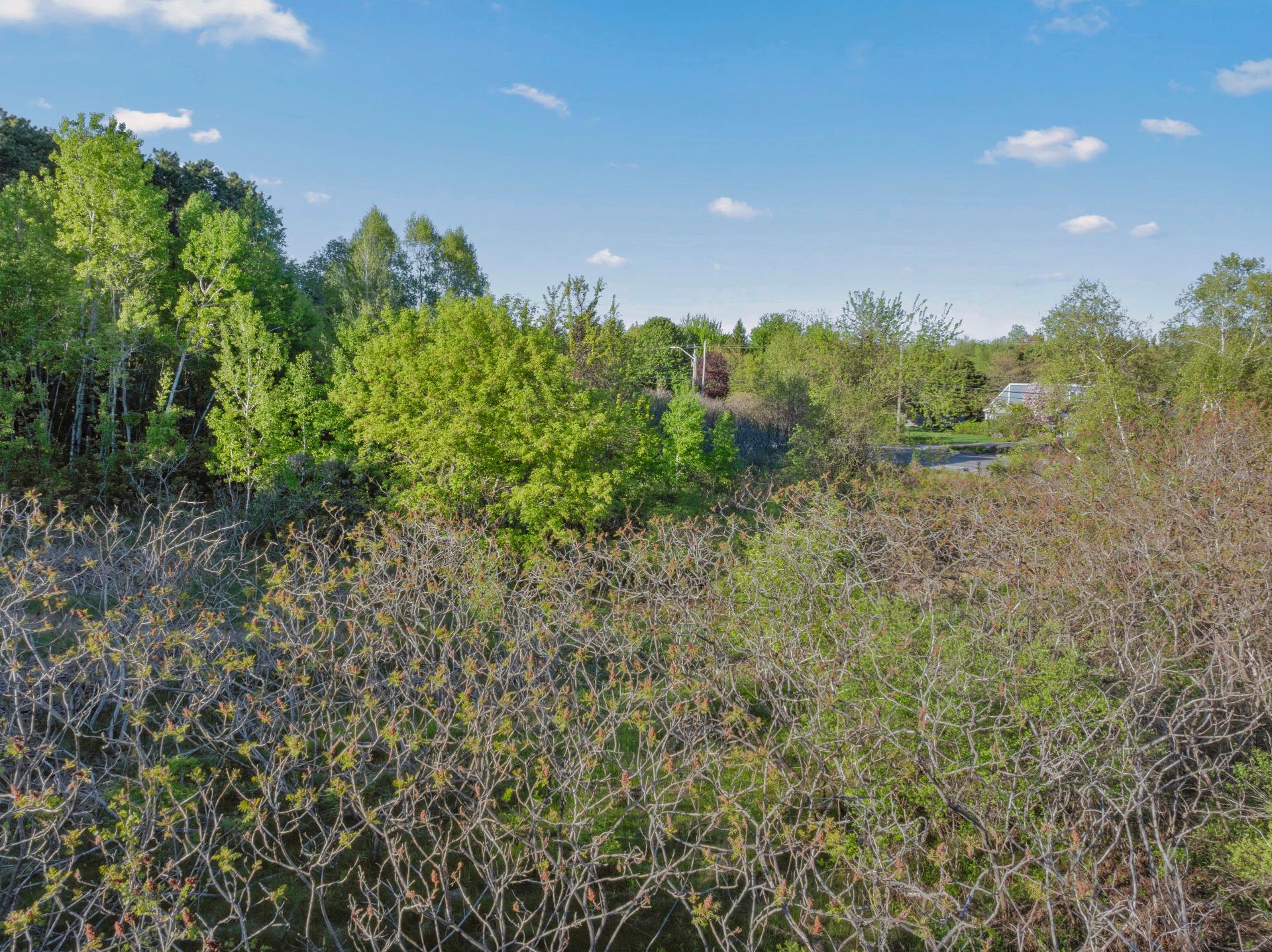 Land/Lot