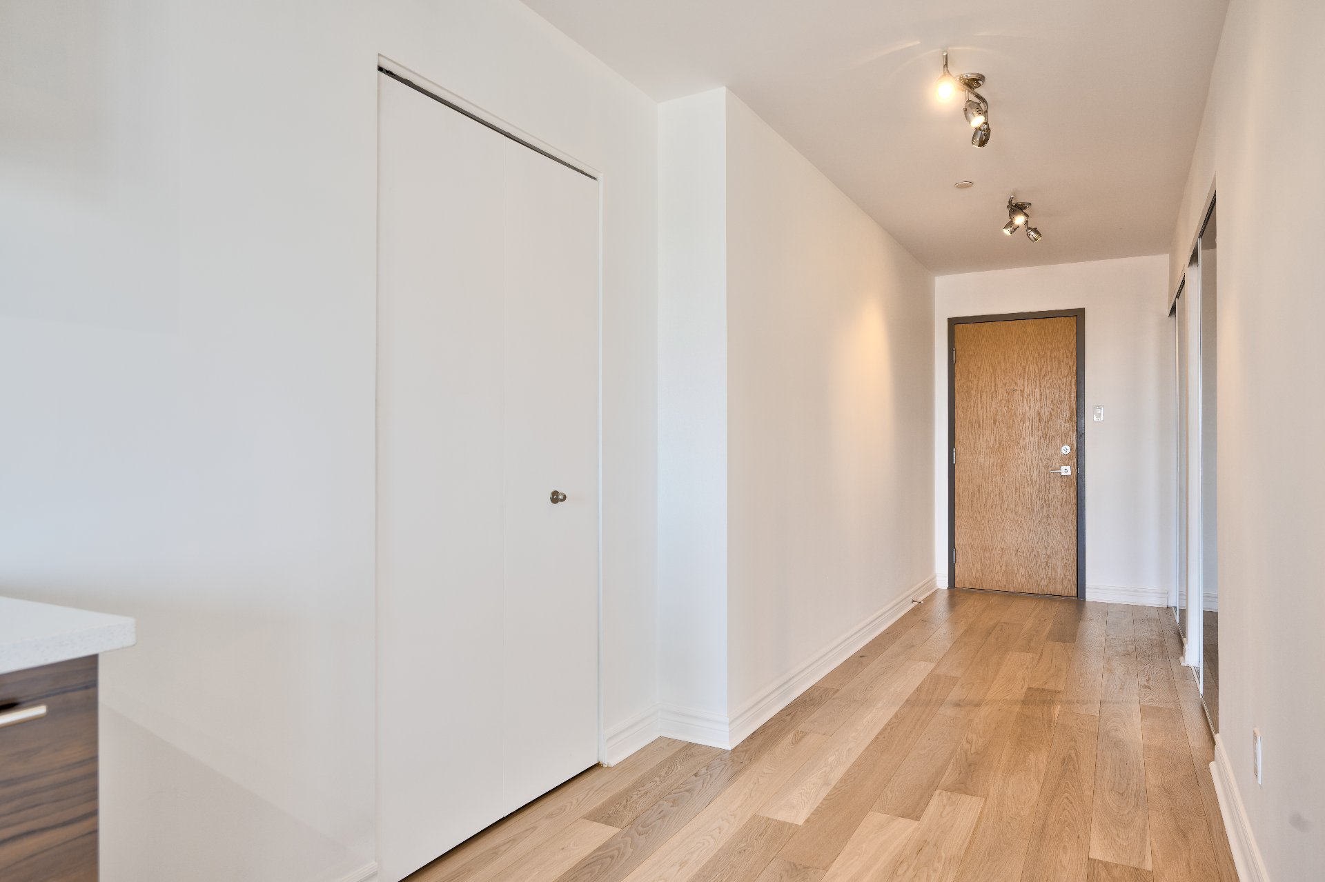 Hall d'entrée/Vestibule