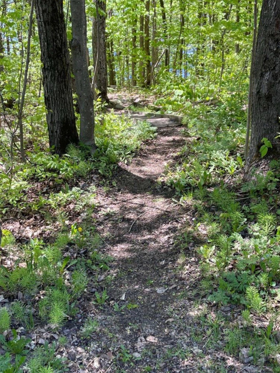 Accès au plan d'eau