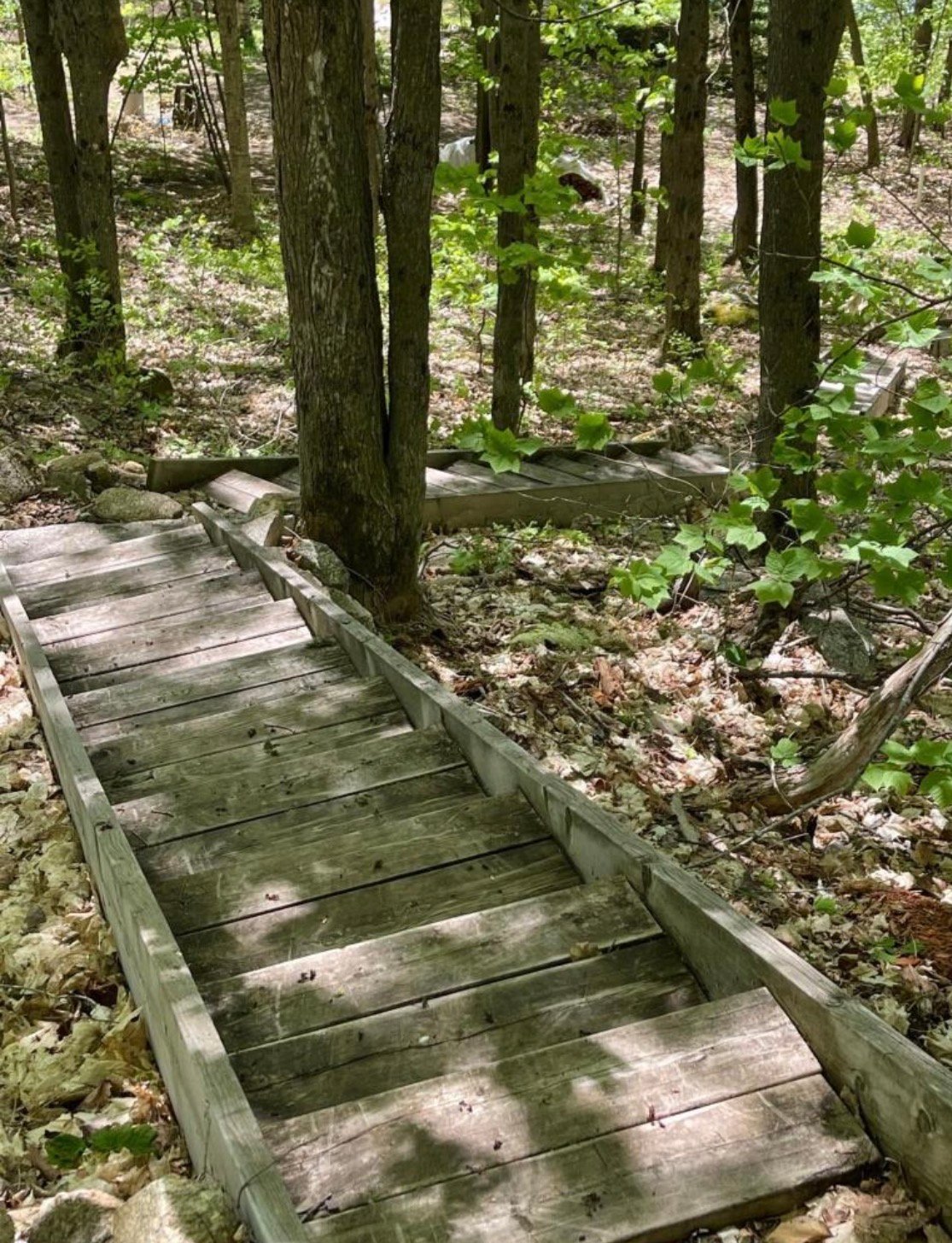 Accès au plan d'eau