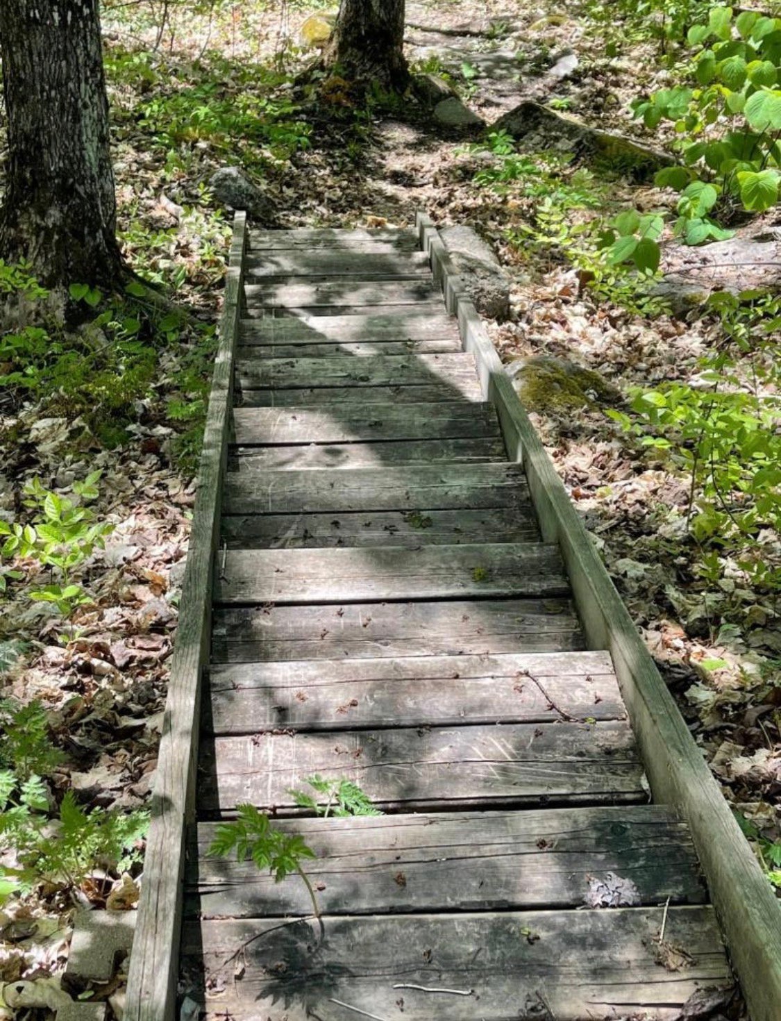 Accès au plan d'eau