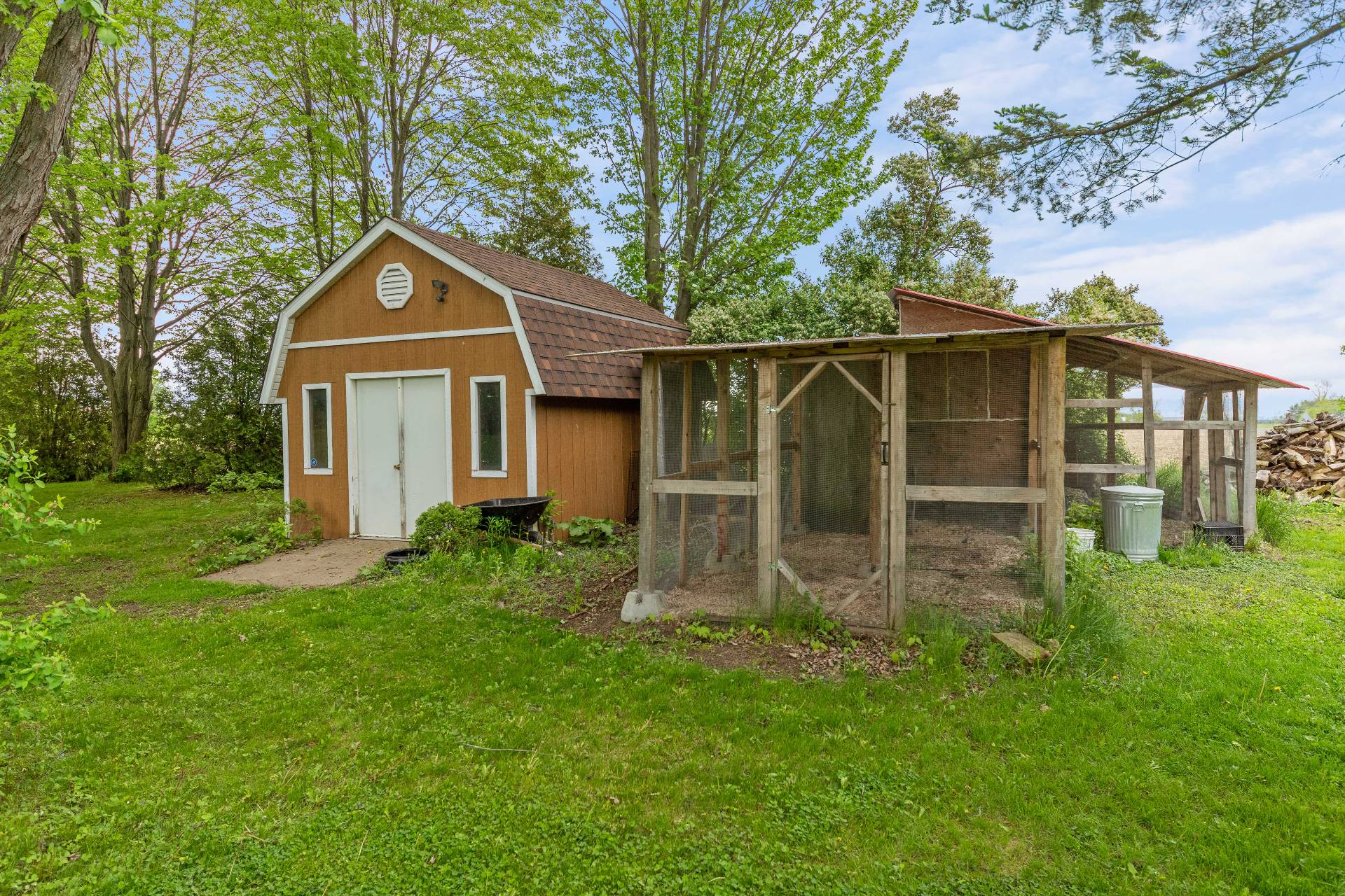Poulailler / Cabanon